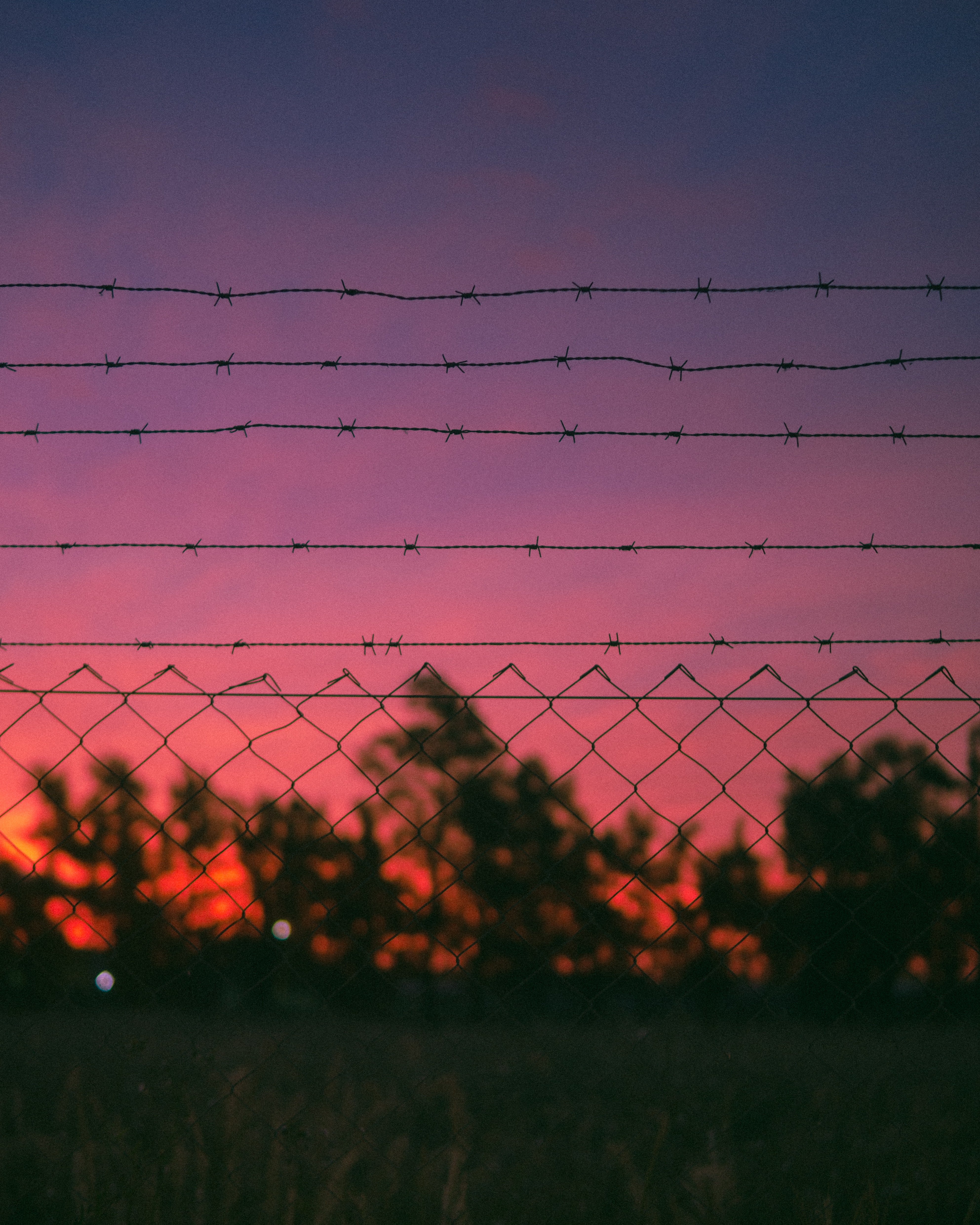 metallic, nature, sunset, metal, wire, barbed wire