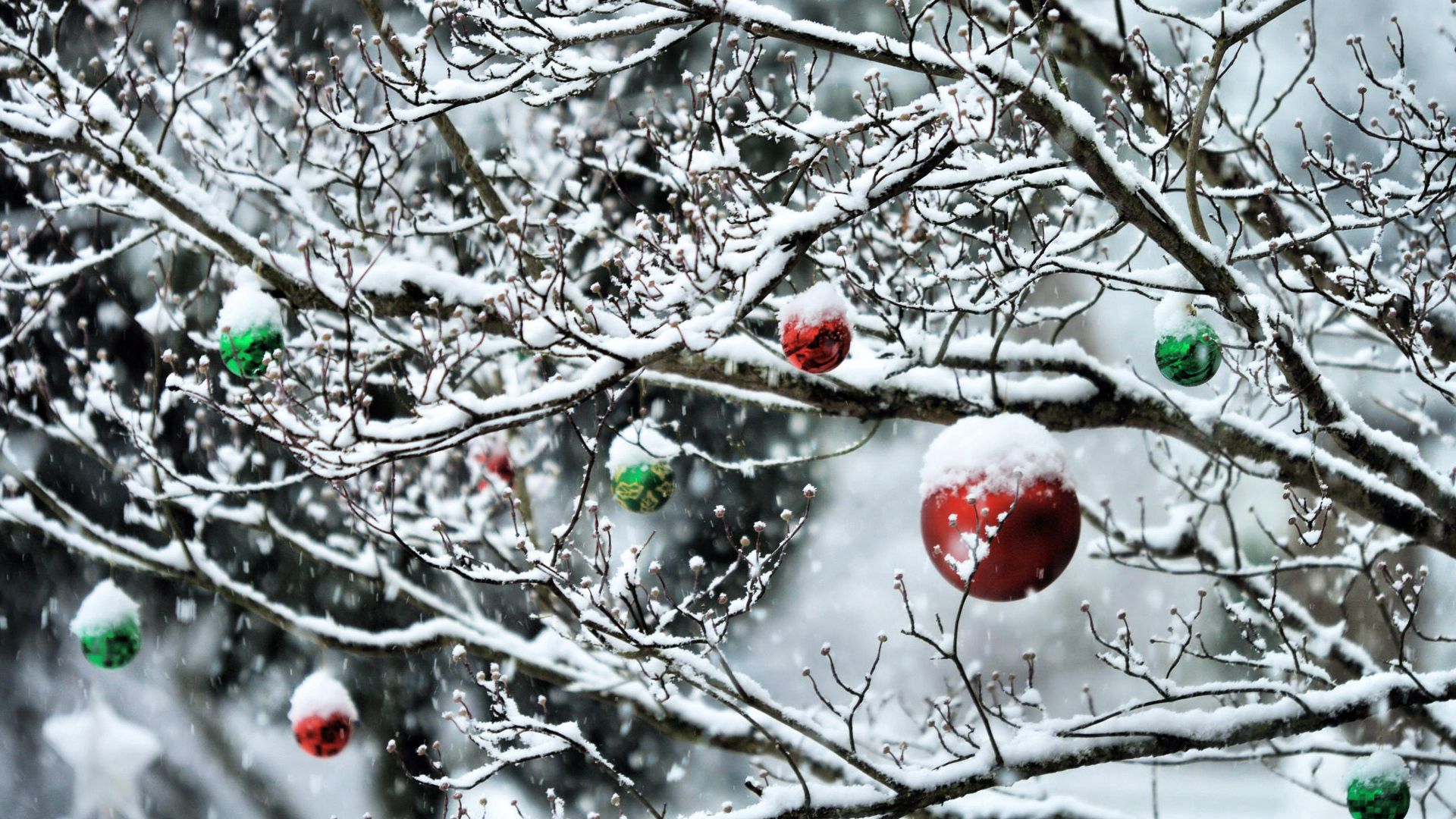 Free download wallpaper New Year, Branches, Snow, Holidays, Balls on your PC desktop