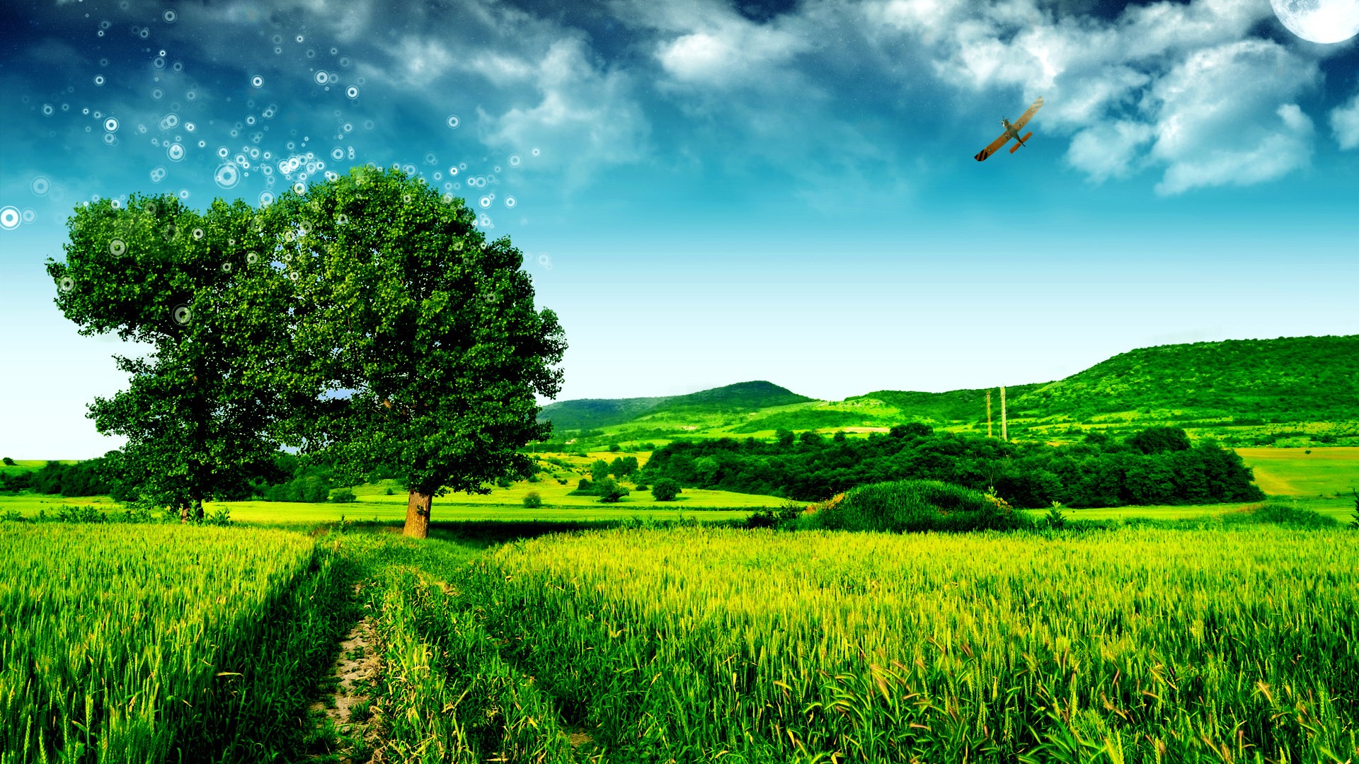 Free download wallpaper Earth, Field on your PC desktop