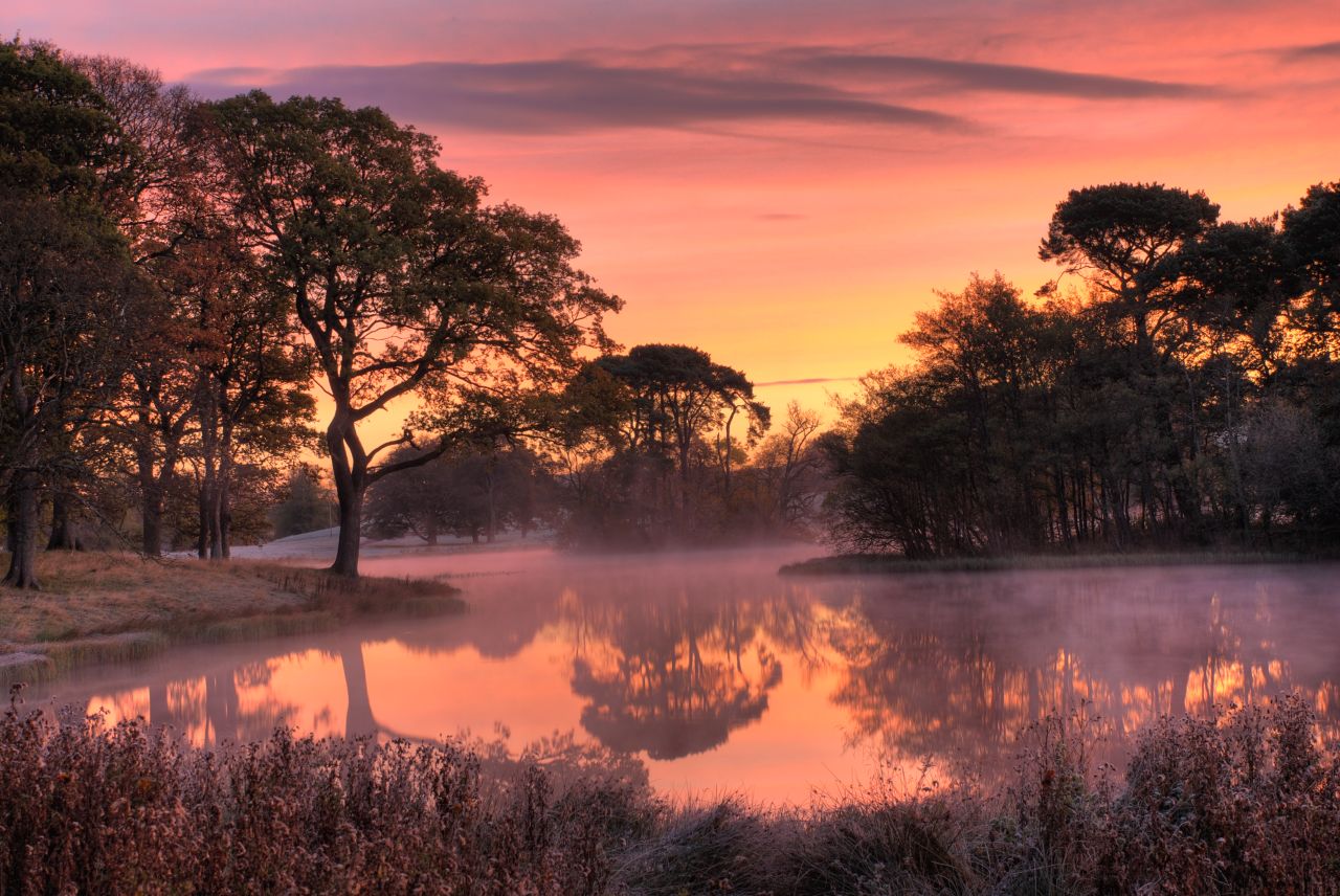 Baixe gratuitamente a imagem Árvore, Terra/natureza na área de trabalho do seu PC