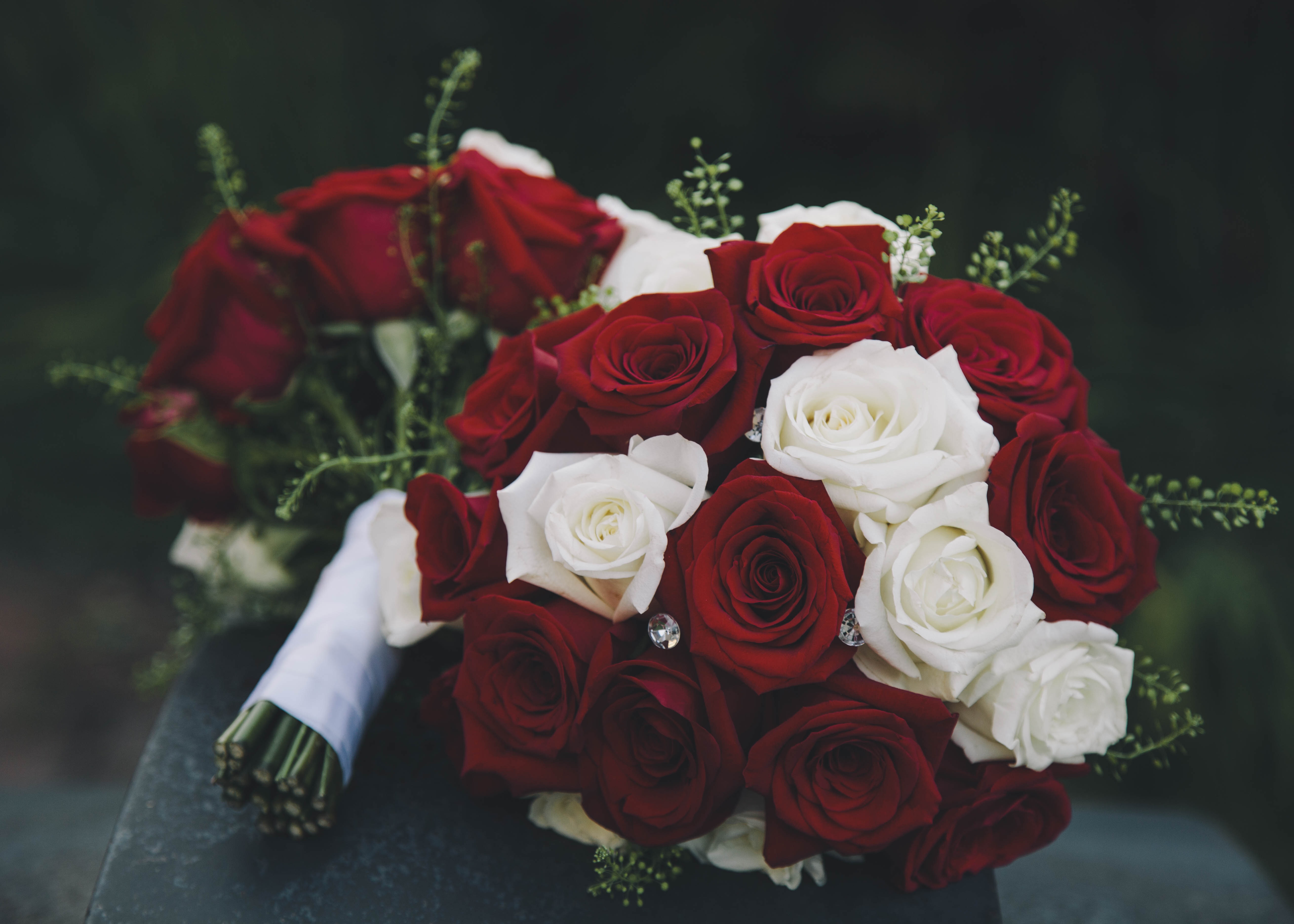 flowers, roses, bouquet, composition