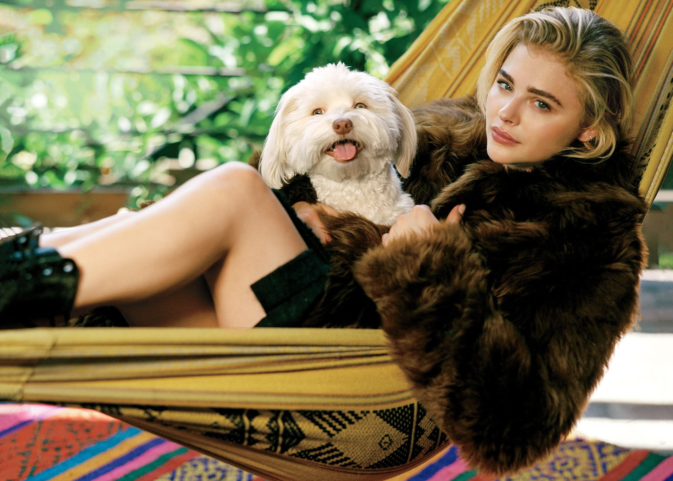 celebrity, chloë grace moretz, actress, american, blonde, dog, green eyes, hammock