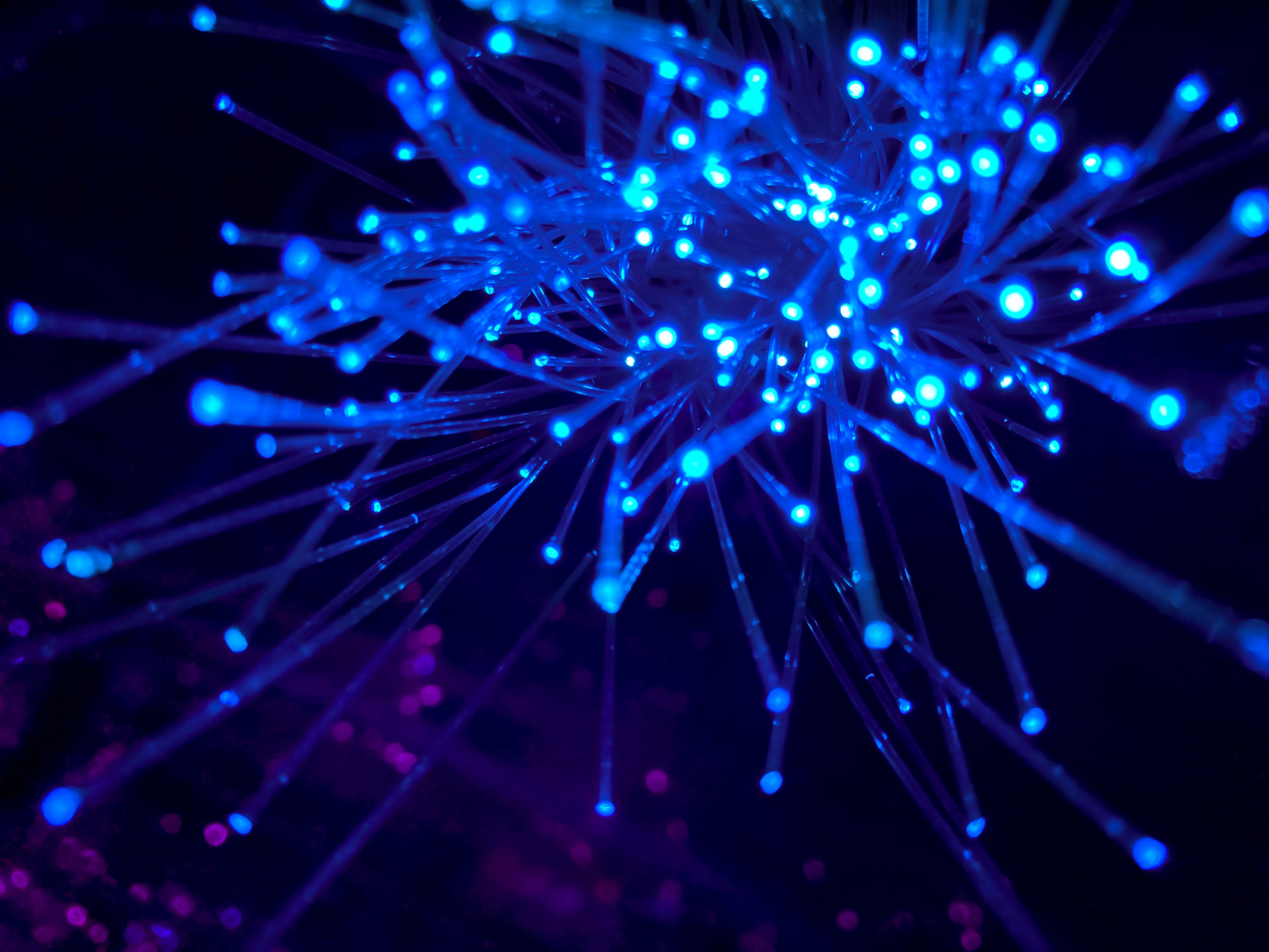 optical fiber, abstract, blue, glow, fiber