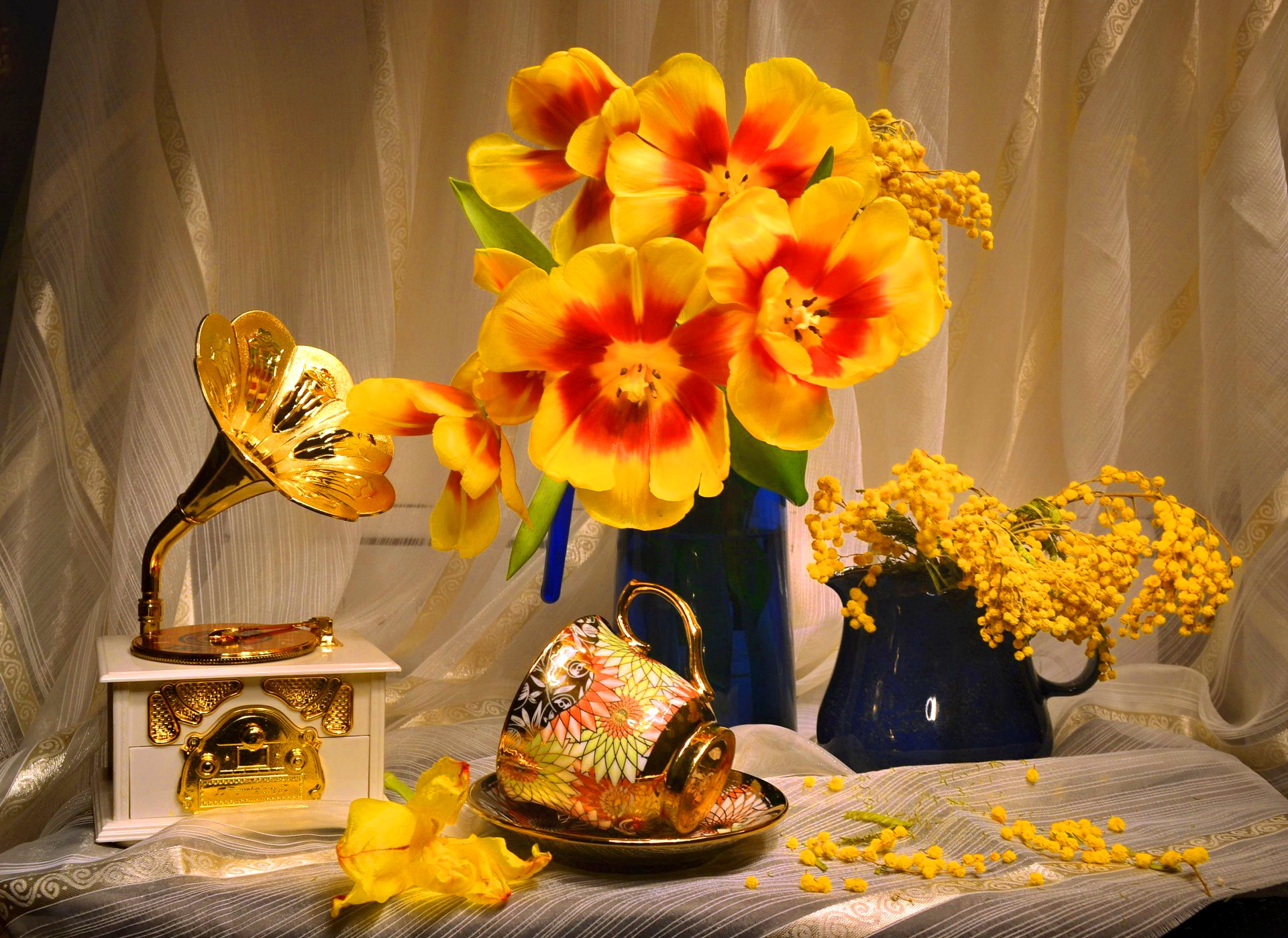 flower, photography, still life, cup, gramophone, tulip, vase, yellow flower