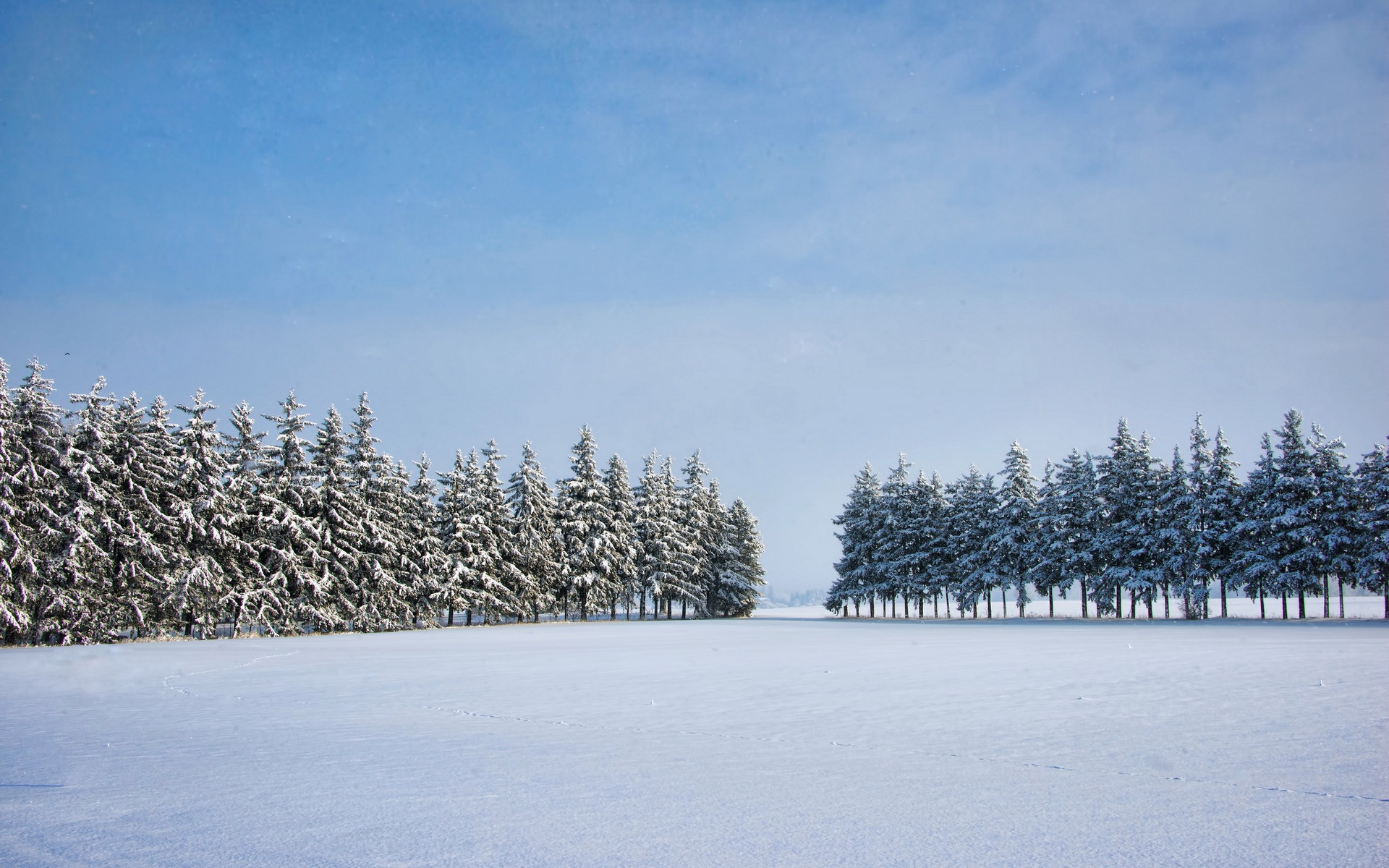 PCデスクトップに風景, 冬, 自然, 木, 雪, 地球画像を無料でダウンロード