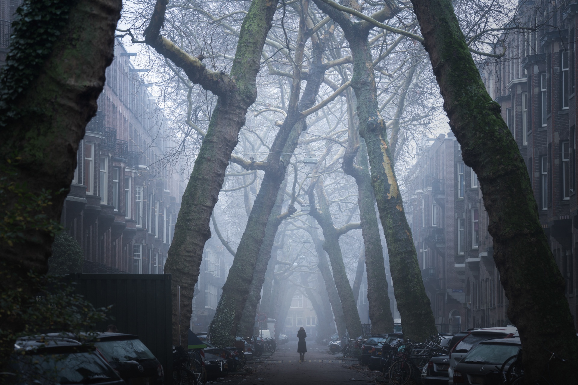 Download mobile wallpaper Building, Tree, Fog, Street, Amsterdam, Man Made for free.
