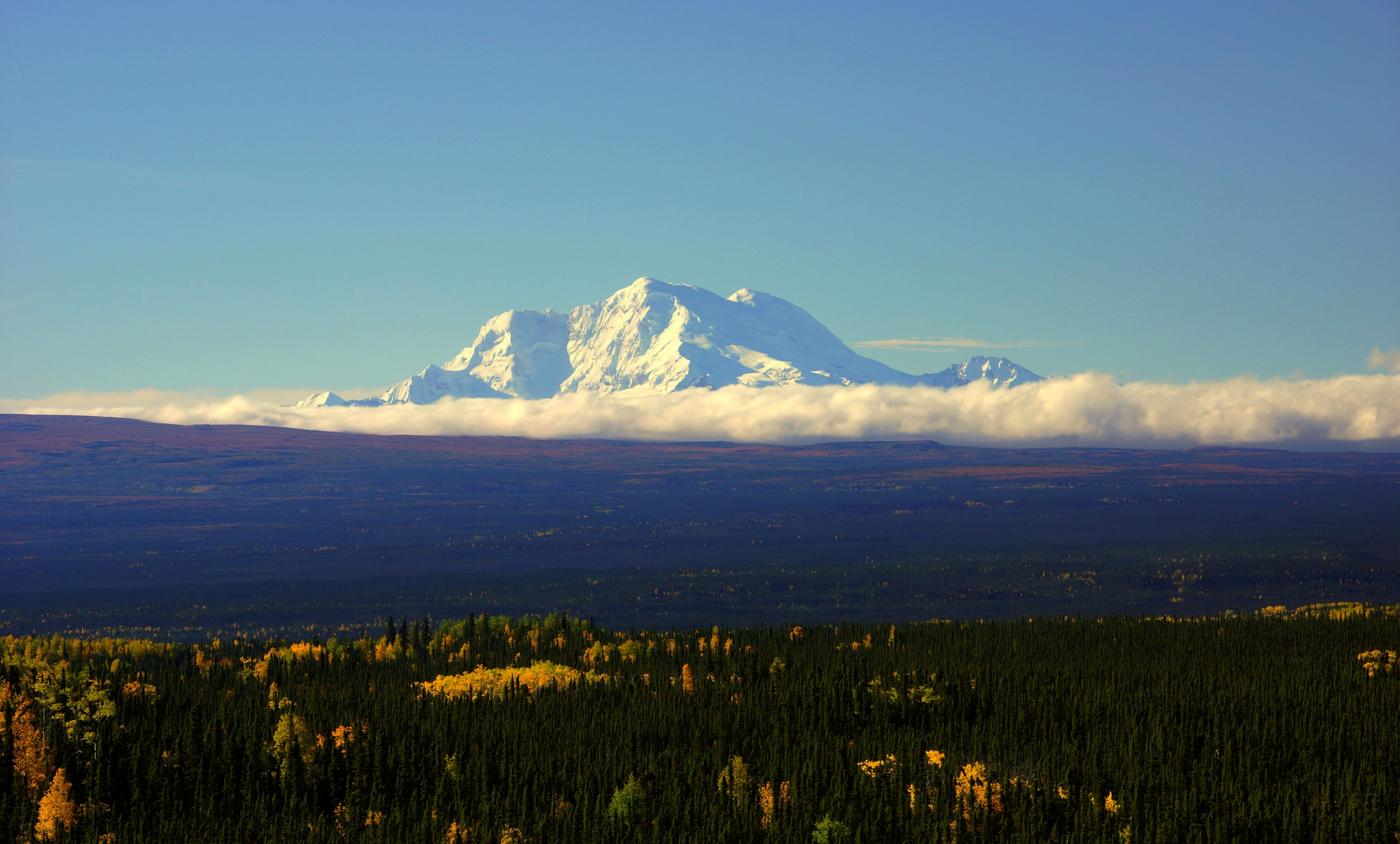 Téléchargez gratuitement l'image Paysage, Montagne, Forêt, Alaska, La Nature, Terre/nature sur le bureau de votre PC