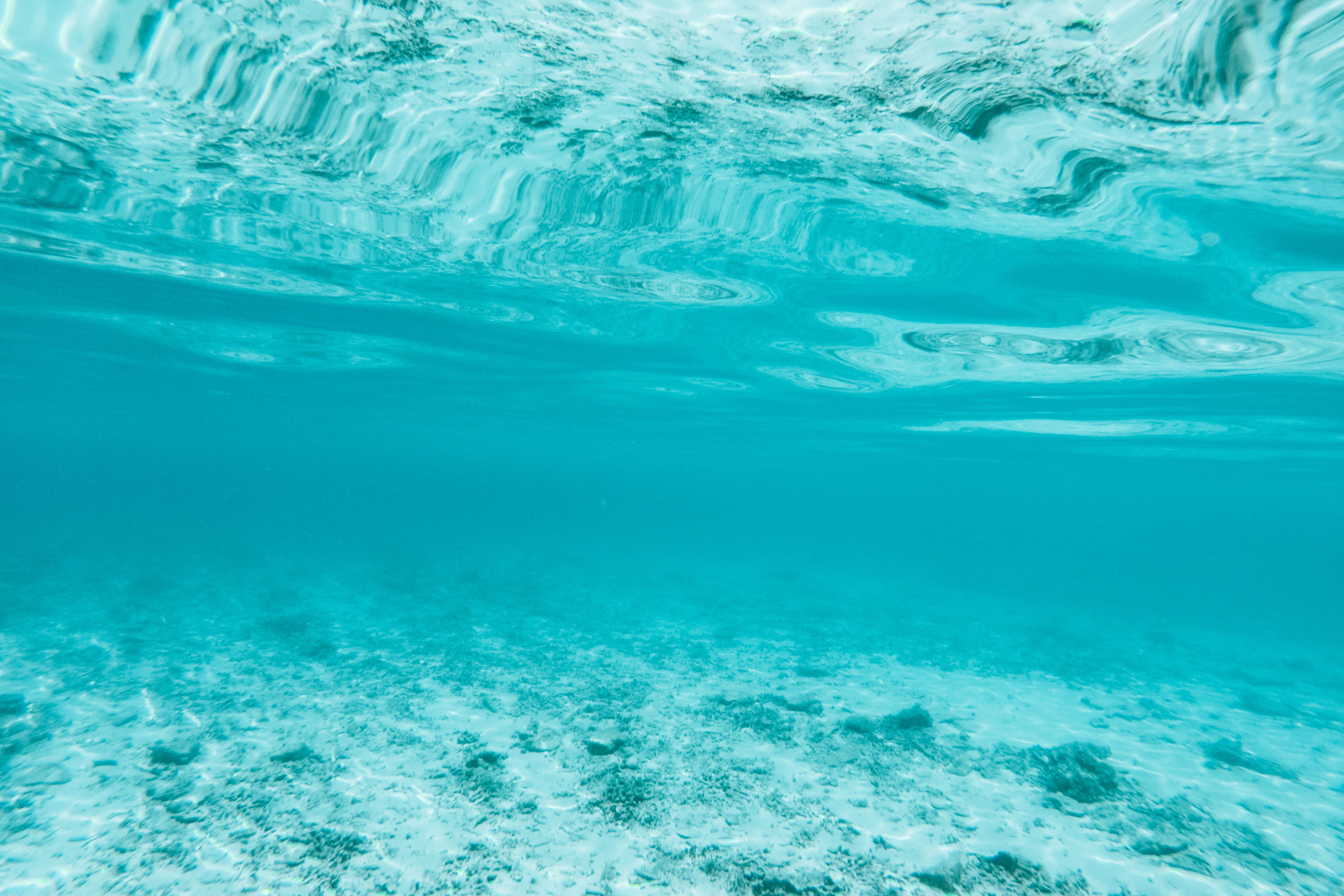 104596 descargar fondo de pantalla azul, fondo, naturaleza, ondas, transparente, profundidad, bajo el agua, submarino: protectores de pantalla e imágenes gratis
