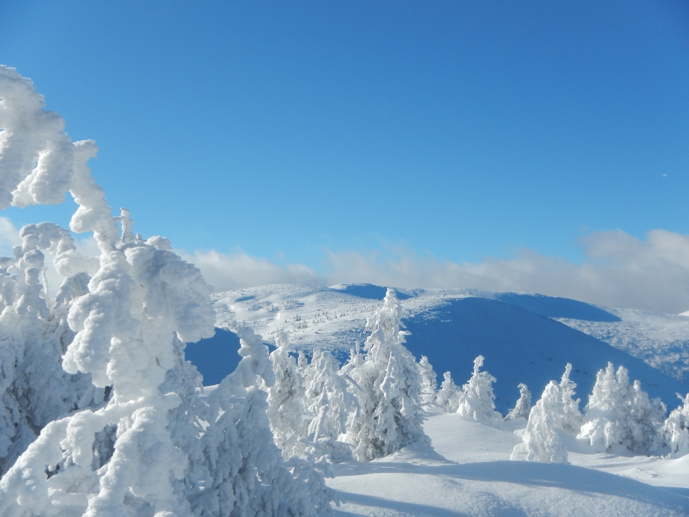 Скачать картинку Снег, Деревья, Пейзаж, Зима в телефон бесплатно.