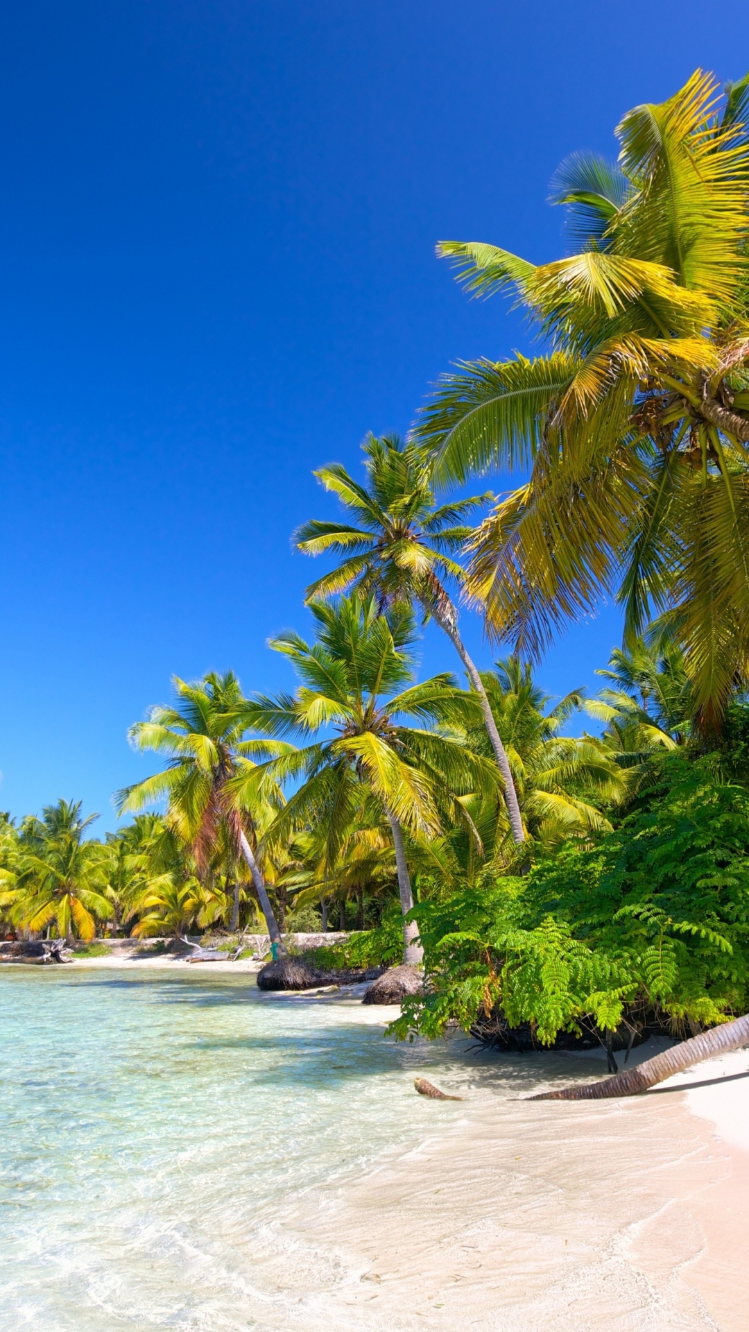 Download mobile wallpaper Tropics, Lagoon, Tropical, Photography, Palm Tree, Seashore for free.