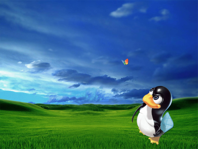 Descarga gratis la imagen Tecnología, Pingüino, Linux en el escritorio de tu PC