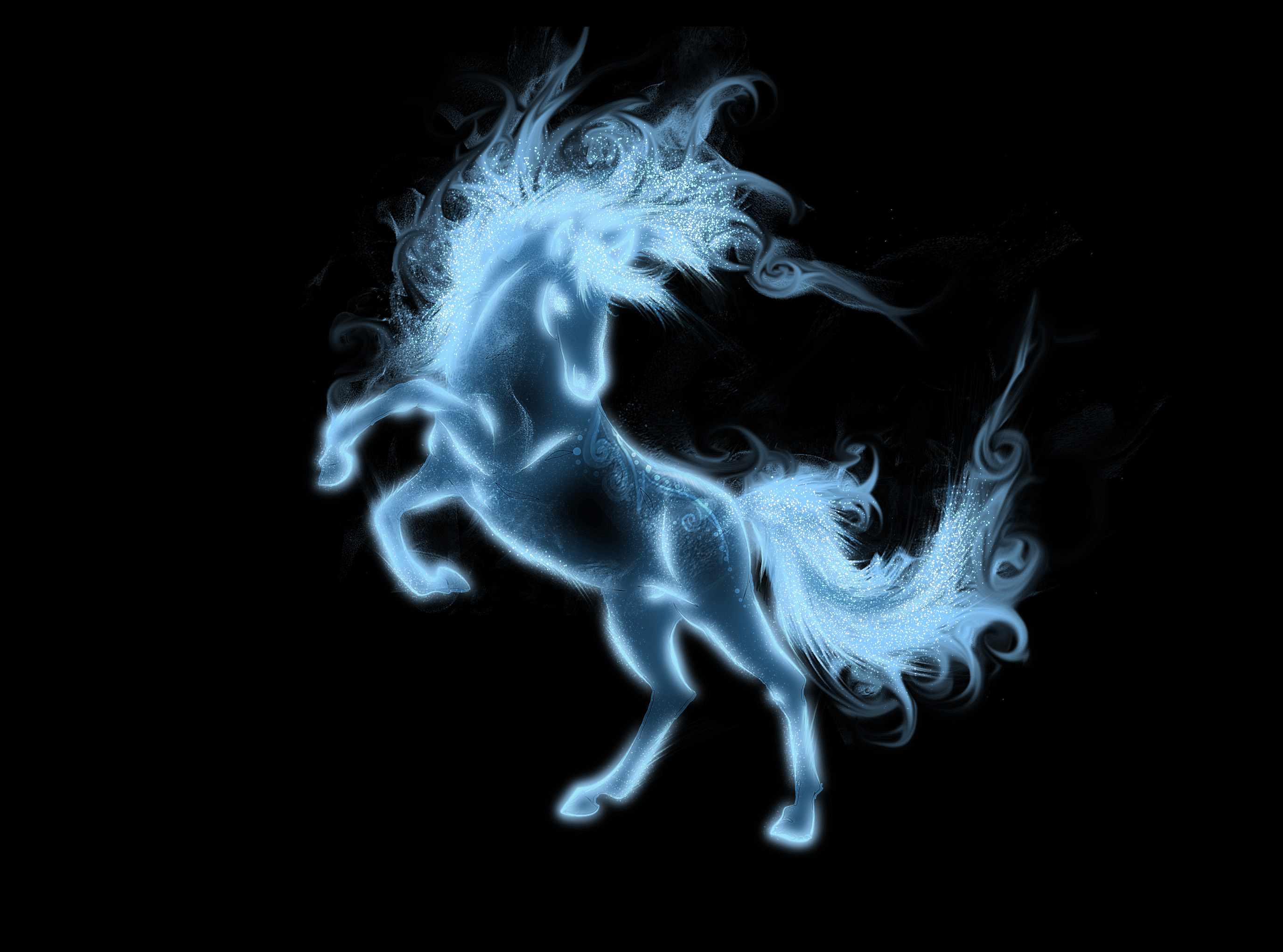 Free download wallpaper Animal, Horse on your PC desktop