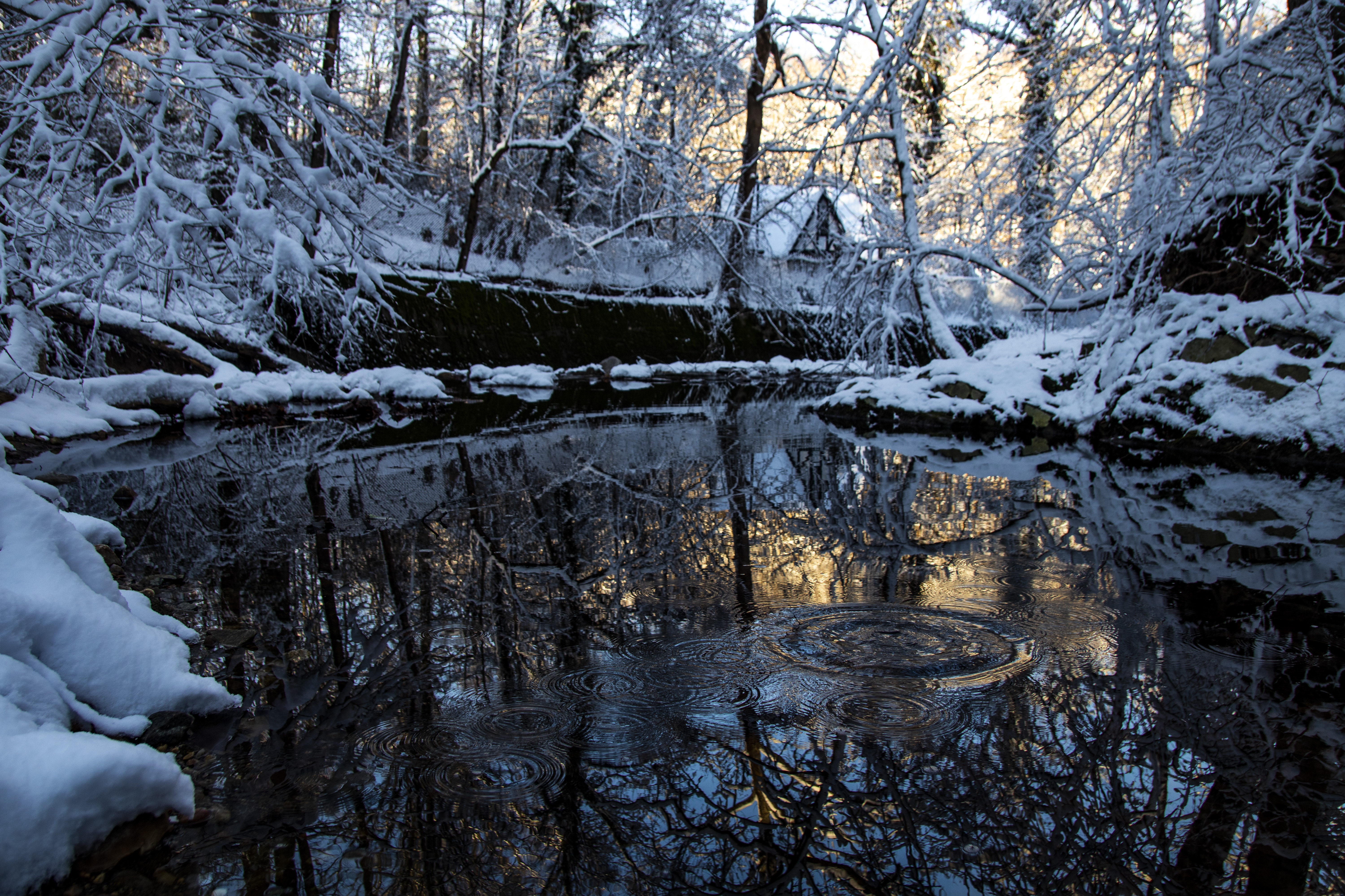 Laden Sie das Winter, Schnee, Bach, Erde/natur-Bild kostenlos auf Ihren PC-Desktop herunter