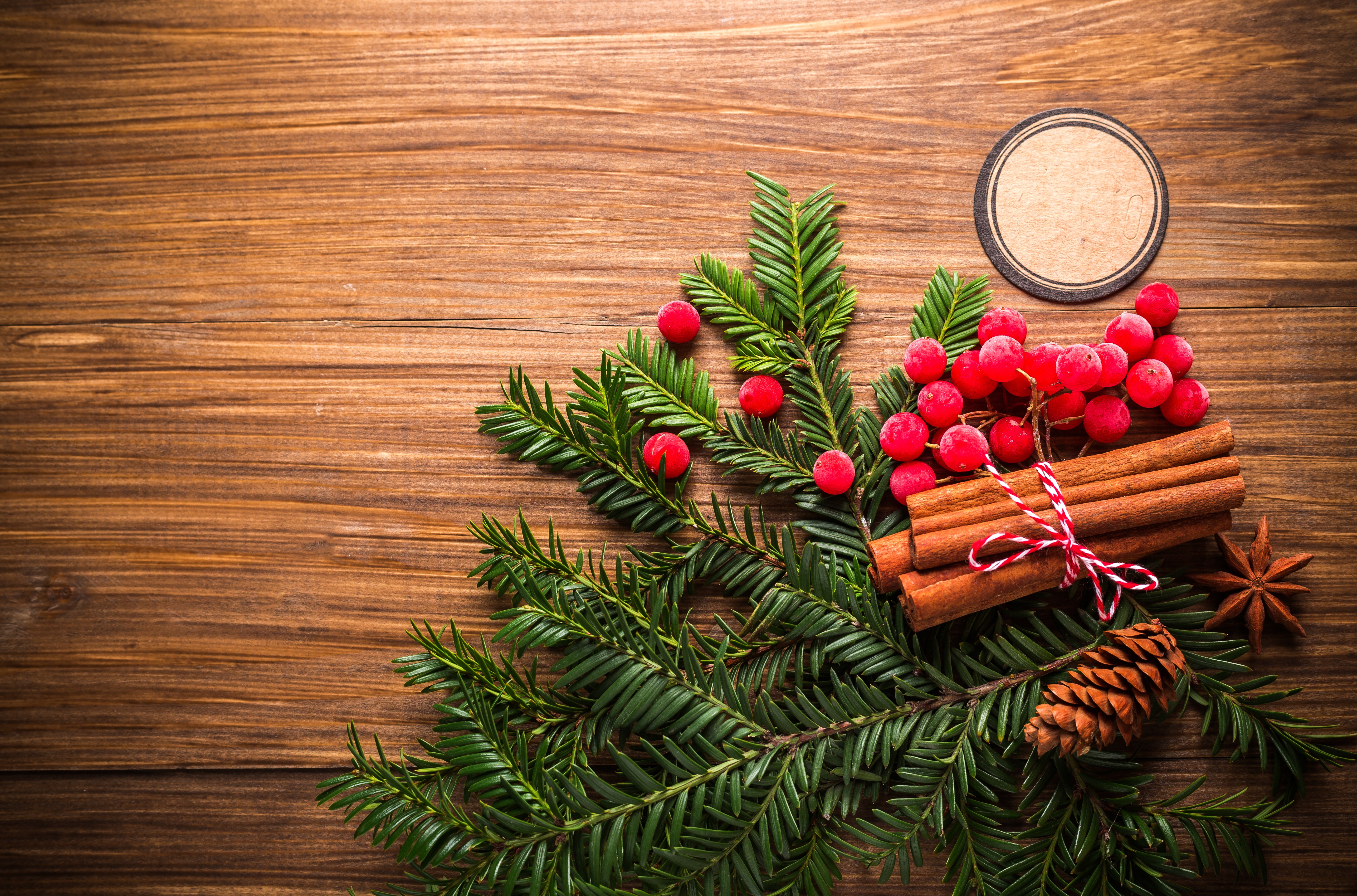 Free download wallpaper Food, Cinnamon, Wood, Christmas, Berry on your PC desktop