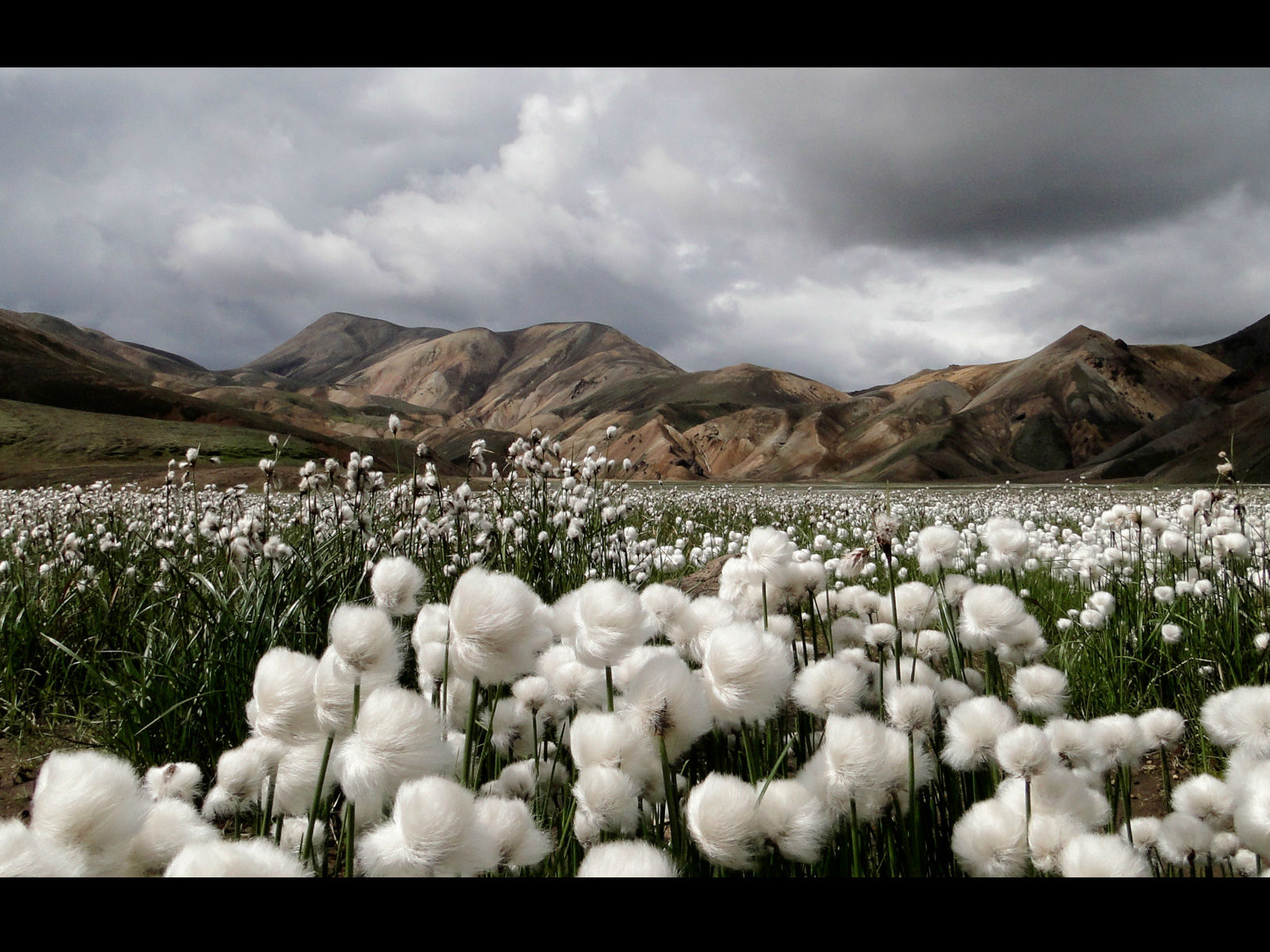 Descarga gratis la imagen Campo, Tierra/naturaleza en el escritorio de tu PC