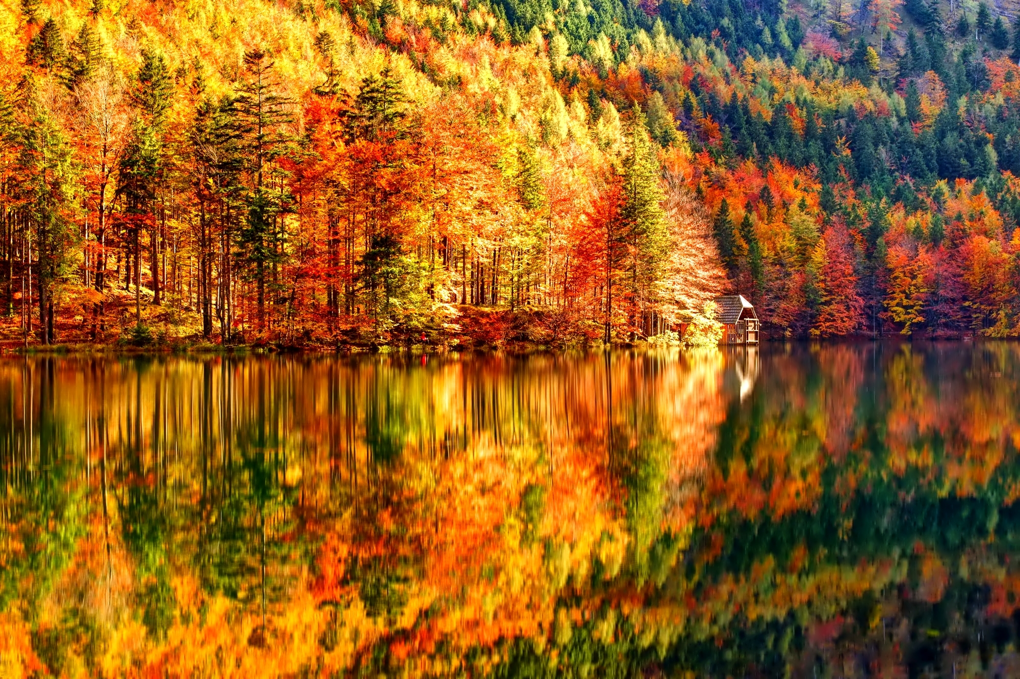 Download mobile wallpaper Lake, Reflection, Forest, Fall, House, Earth for free.