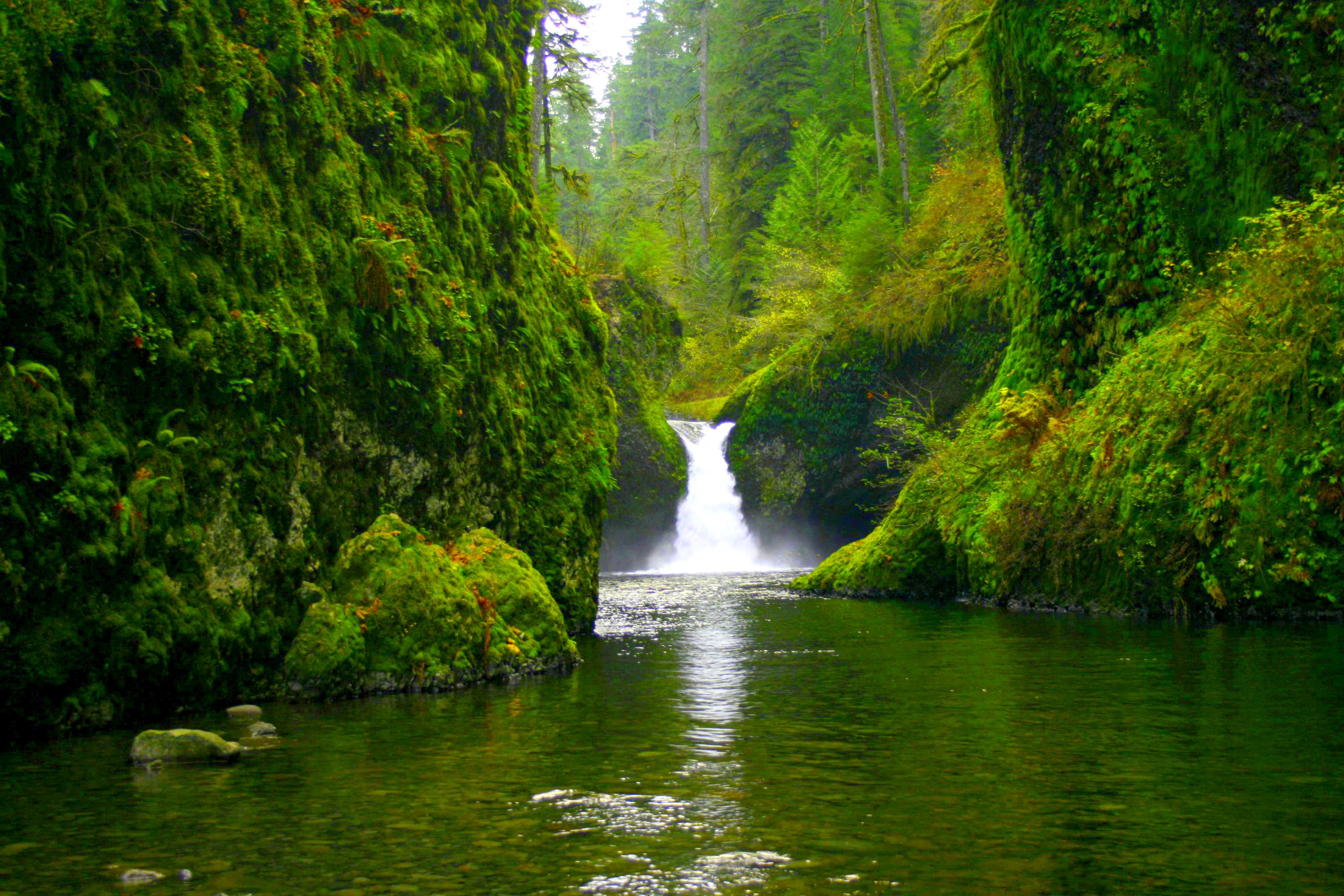 Скачать обои бесплатно Водопады, Водопад, Лес, Дерево, Зеленый, Пруд, Земля/природа картинка на рабочий стол ПК