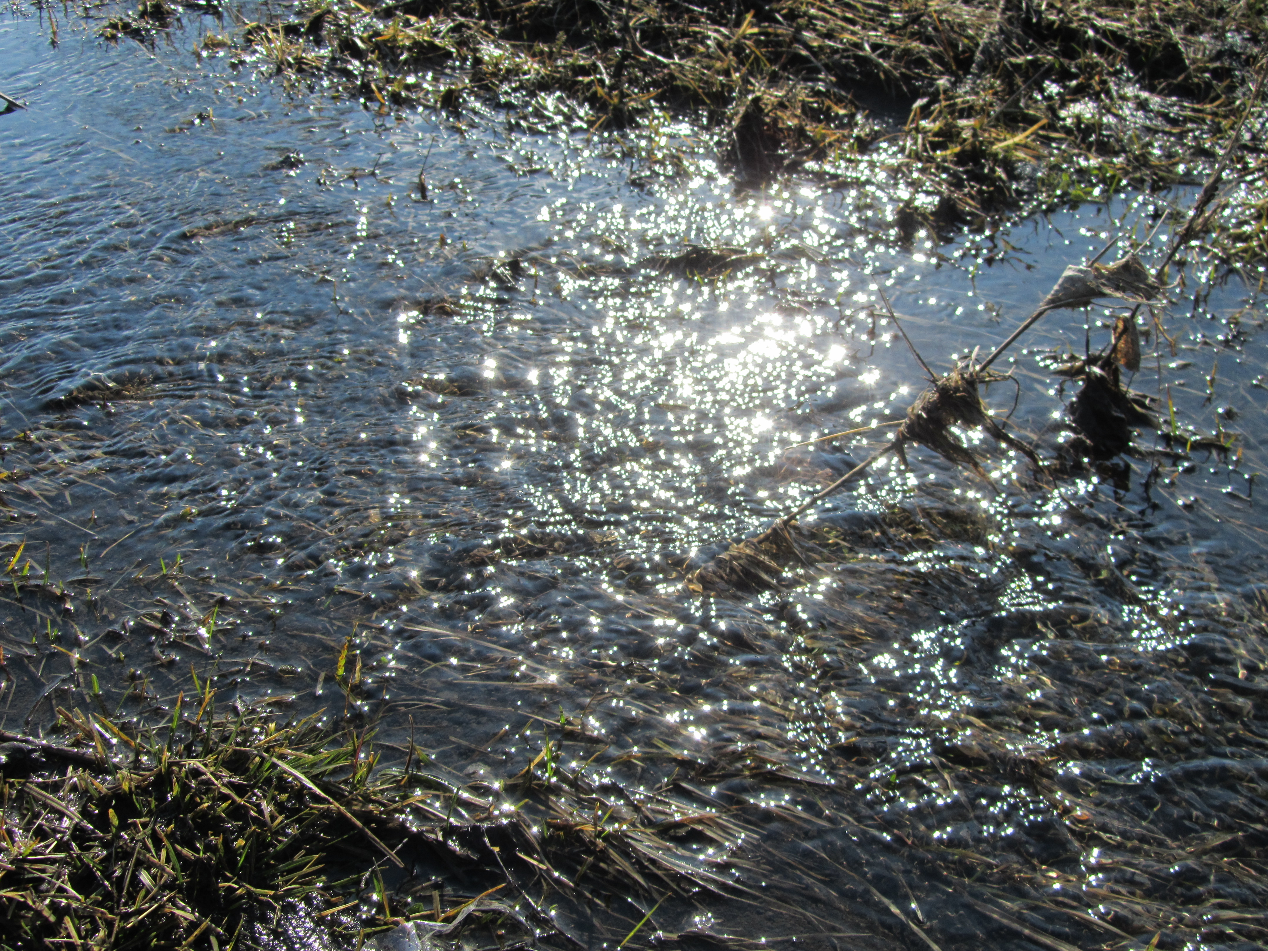 Descarga gratuita de fondo de pantalla para móvil de Agua, Tierra/naturaleza.