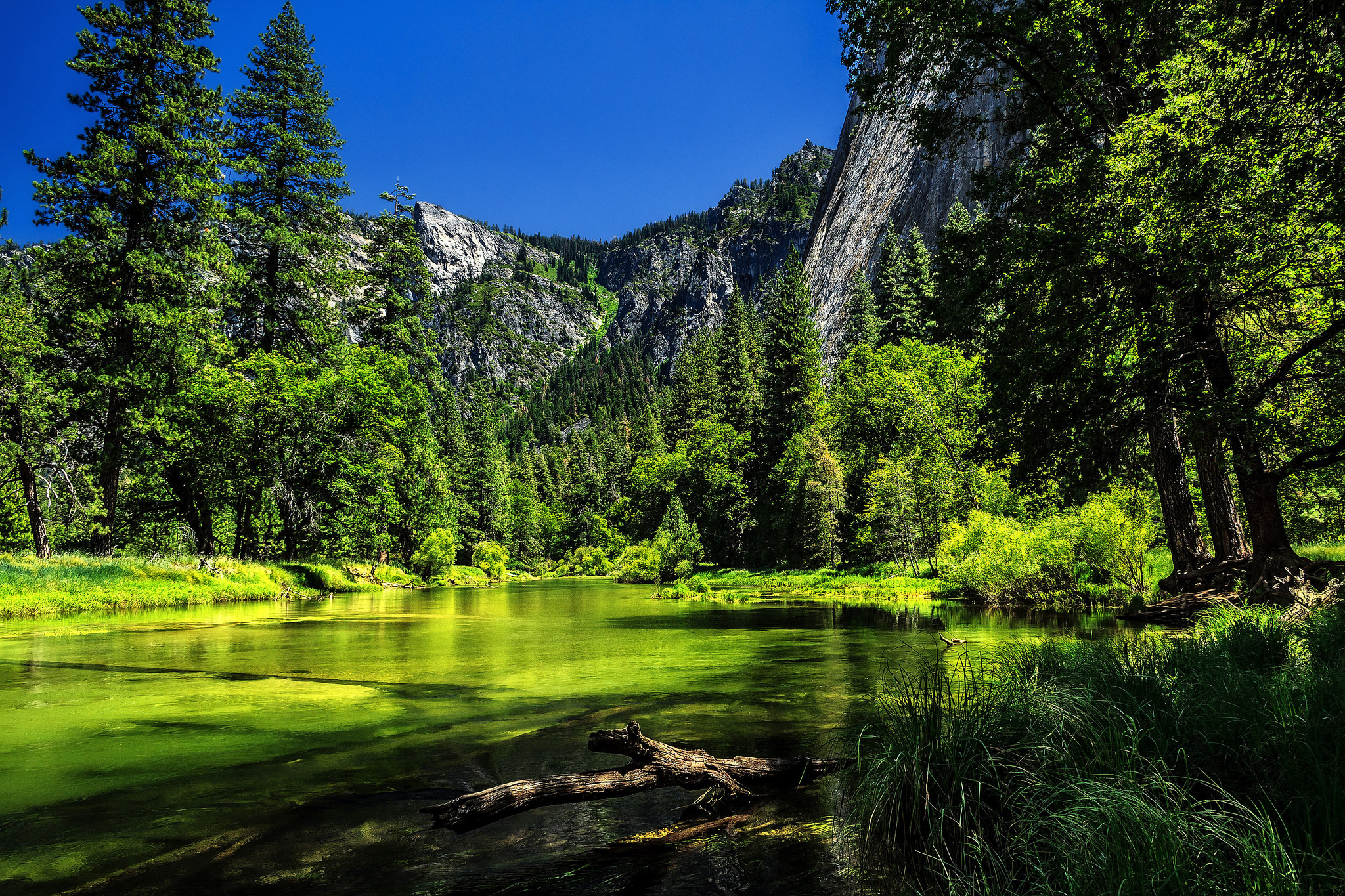 Скачать обои Йосемитский Национальный Парк на телефон бесплатно