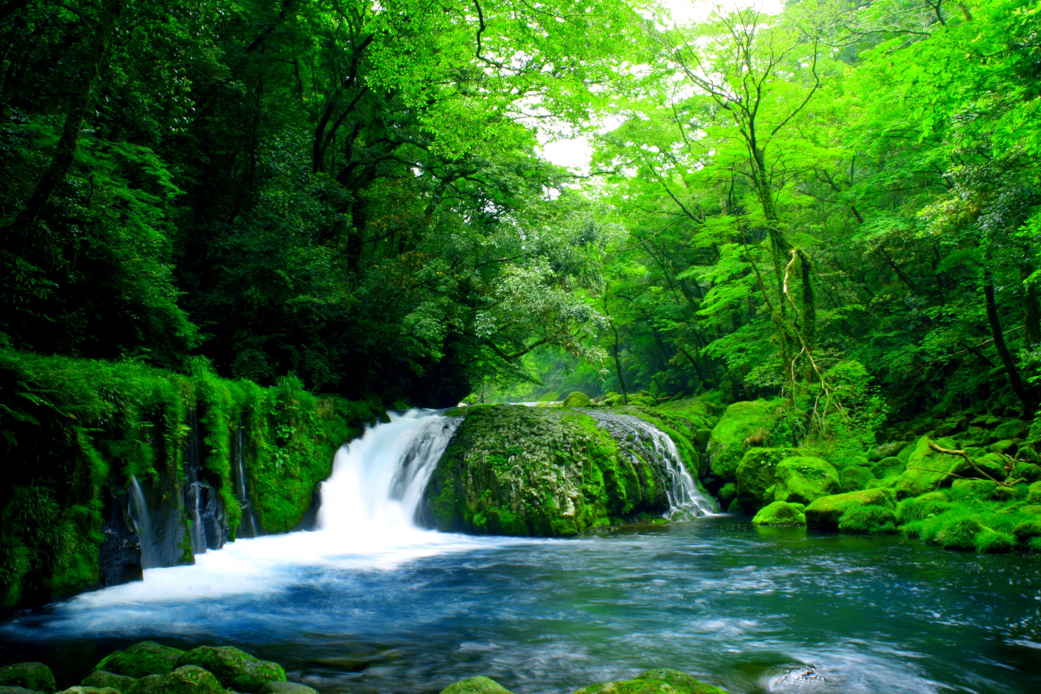 Descarga gratis la imagen Cascadas, Cascada, Bosque, Árbol, Tierra/naturaleza en el escritorio de tu PC