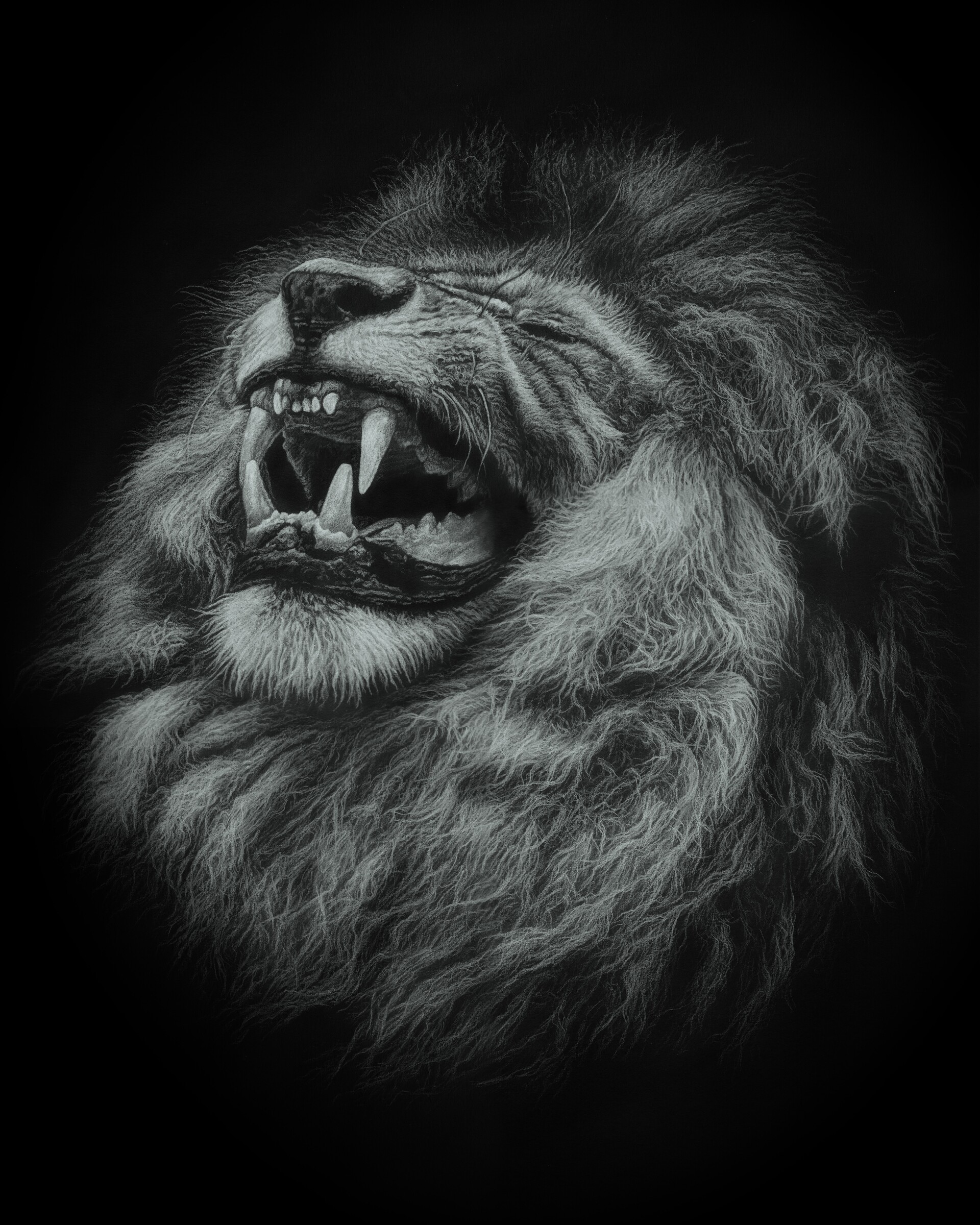 110786 descargar imagen un leon, depredador, arte, sonrisa, león, gato grande: fondos de pantalla y protectores de pantalla gratis