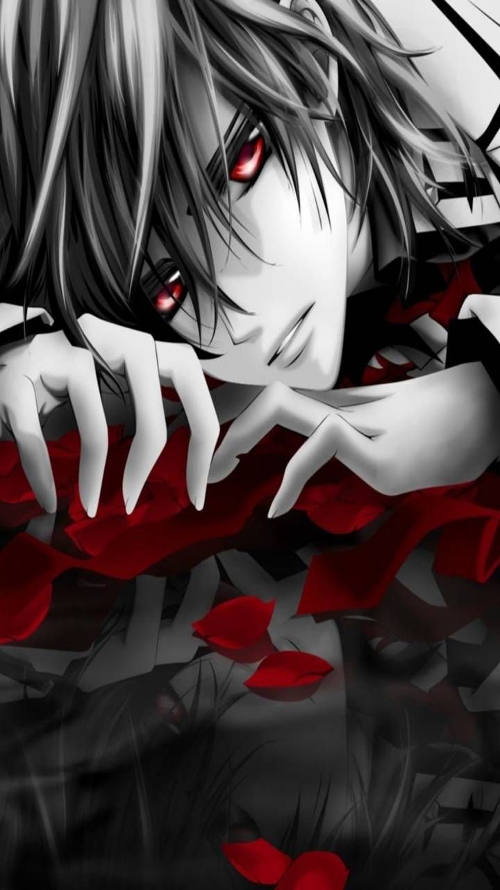Download mobile wallpaper Anime, Vampire Knight, Kaname Kuran for free.