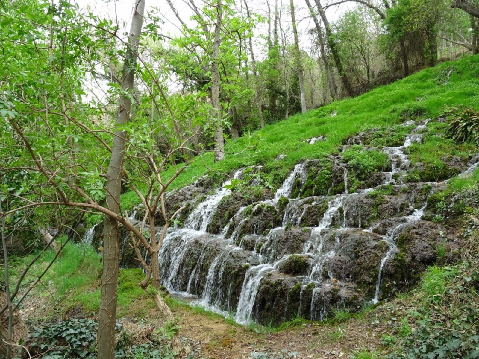 Handy-Wallpaper Natur, Wasser, Wasserfall, Baum, Spanien, Gras, Erde/natur kostenlos herunterladen.