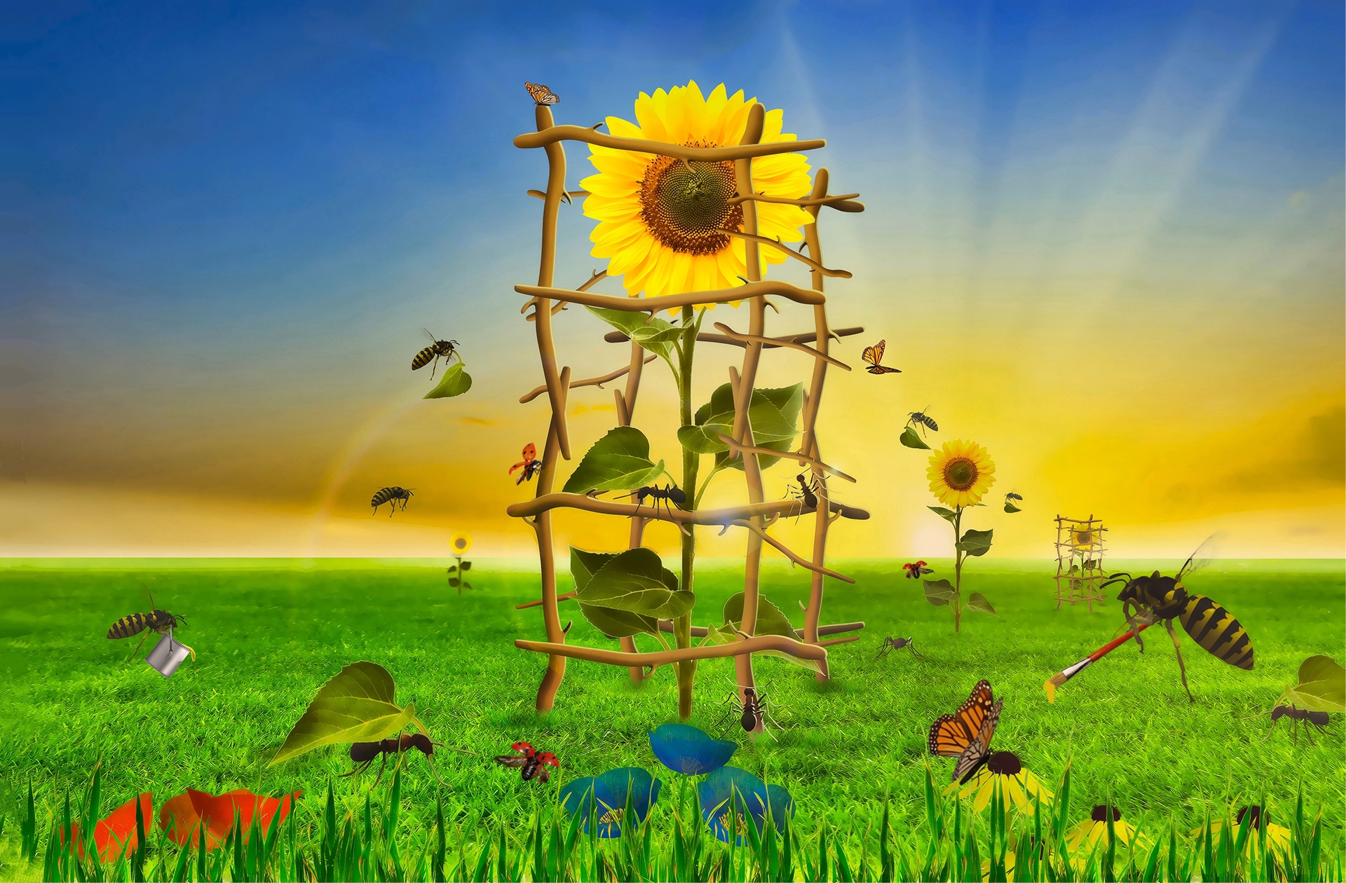 PCデスクトップに草, ひまわり, 葉, 春, 芸術的, 黄色い花, 虫画像を無料でダウンロード