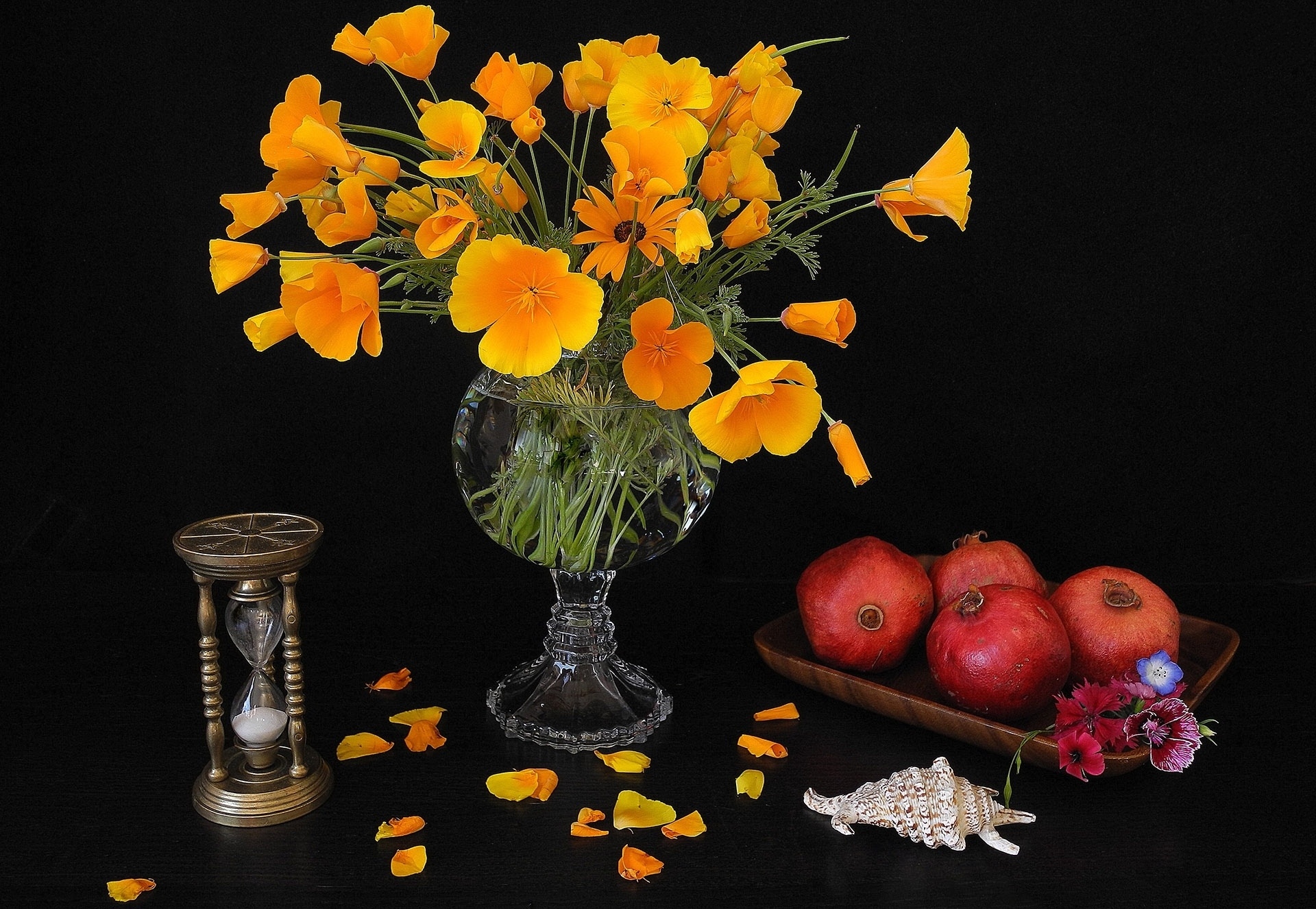 still life, flower, photography, hourglass, pomegranate, poppy, shell, yellow flower
