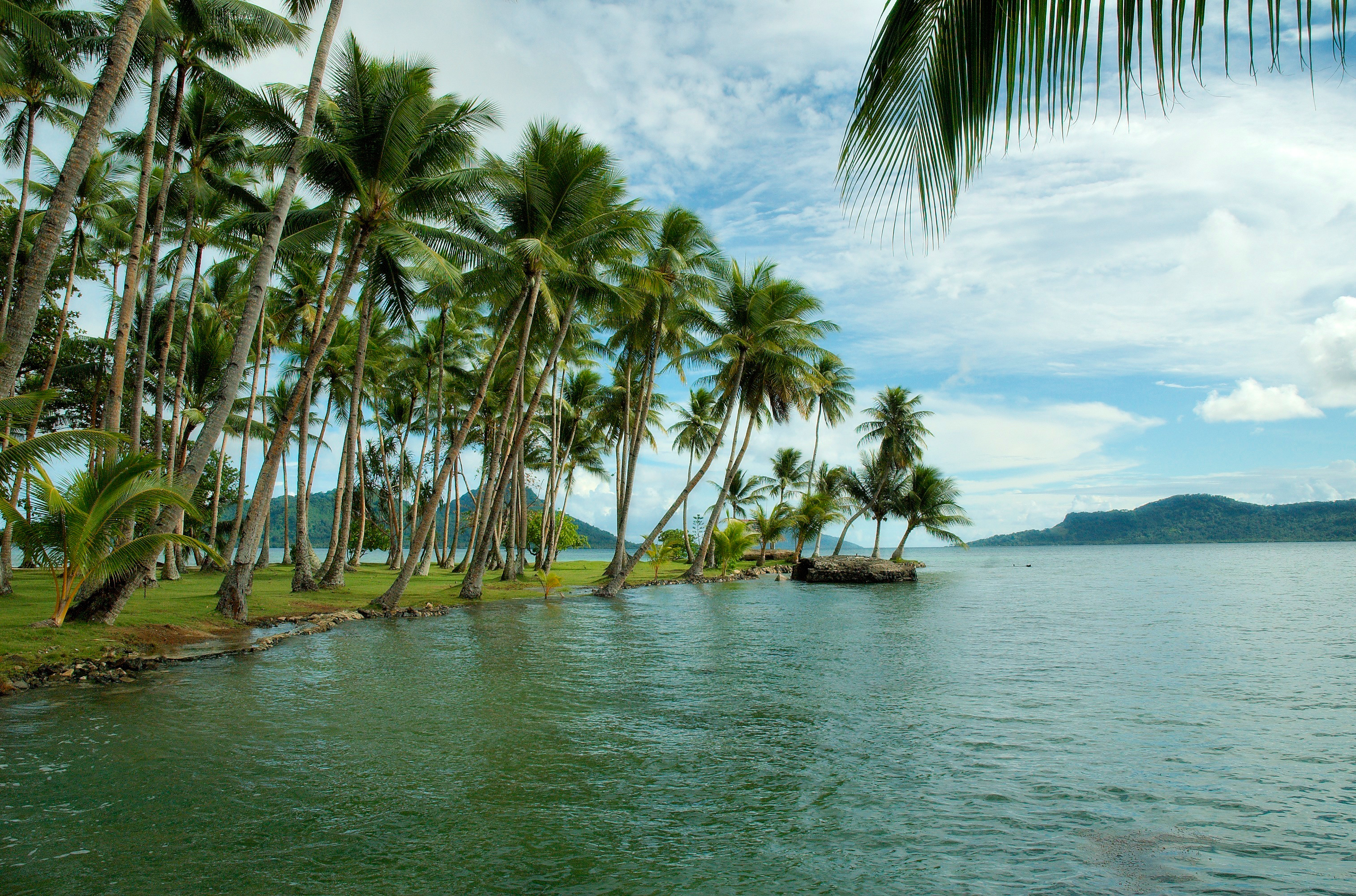 Laden Sie das Baum, Ozean, Palme, Insel, Meer, Erde/natur-Bild kostenlos auf Ihren PC-Desktop herunter