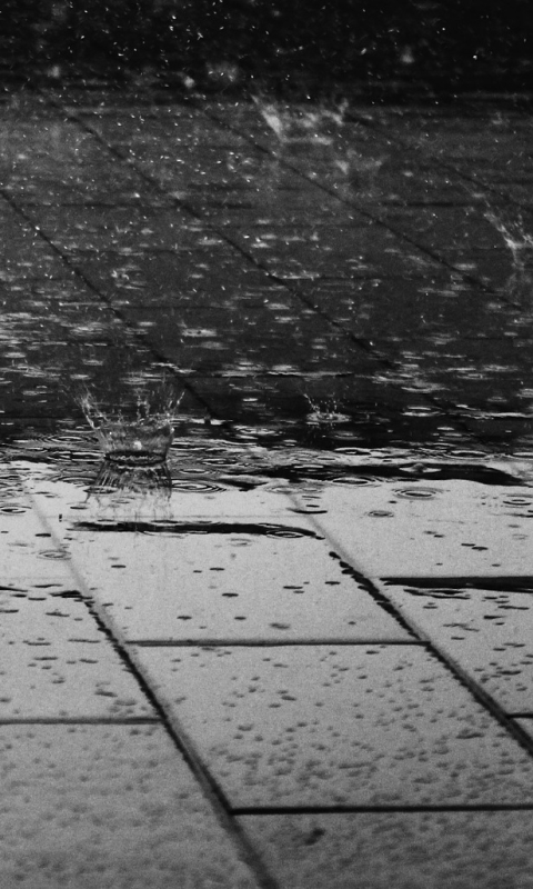 Download mobile wallpaper Water, Rain, Photography, Water Drop, Black & White for free.