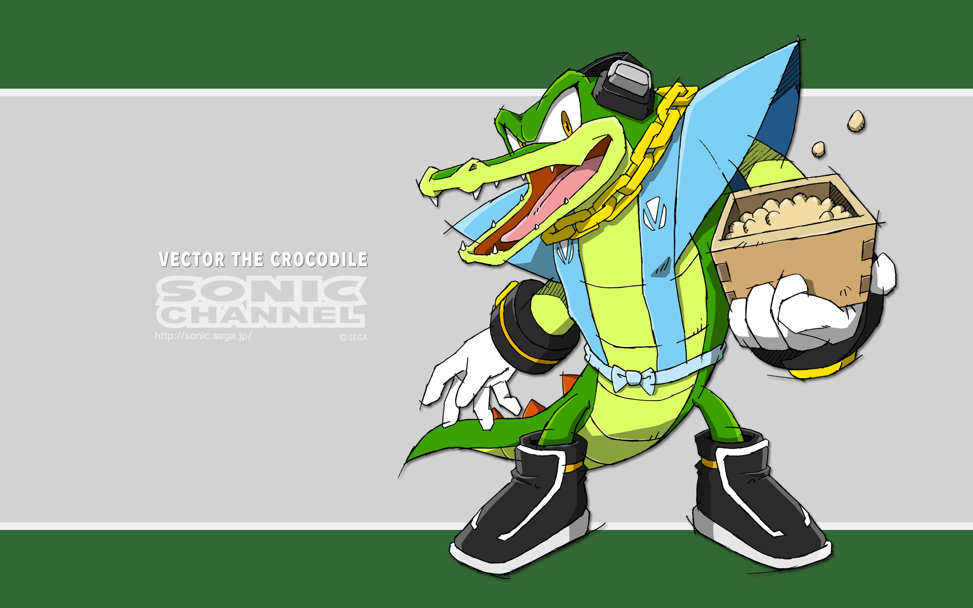 video game, sonic the hedgehog, sonic channel, vector the crocodile, sonic