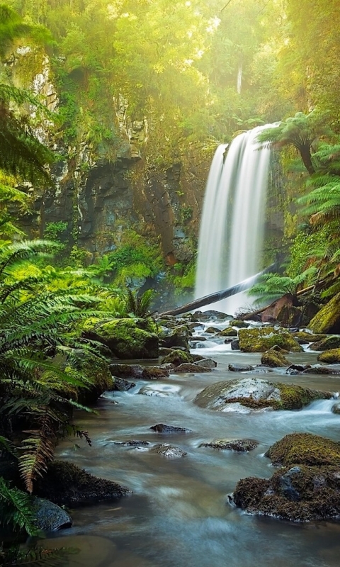 Download mobile wallpaper Waterfalls, Waterfall, Forest, Earth, Stream, Tropical for free.