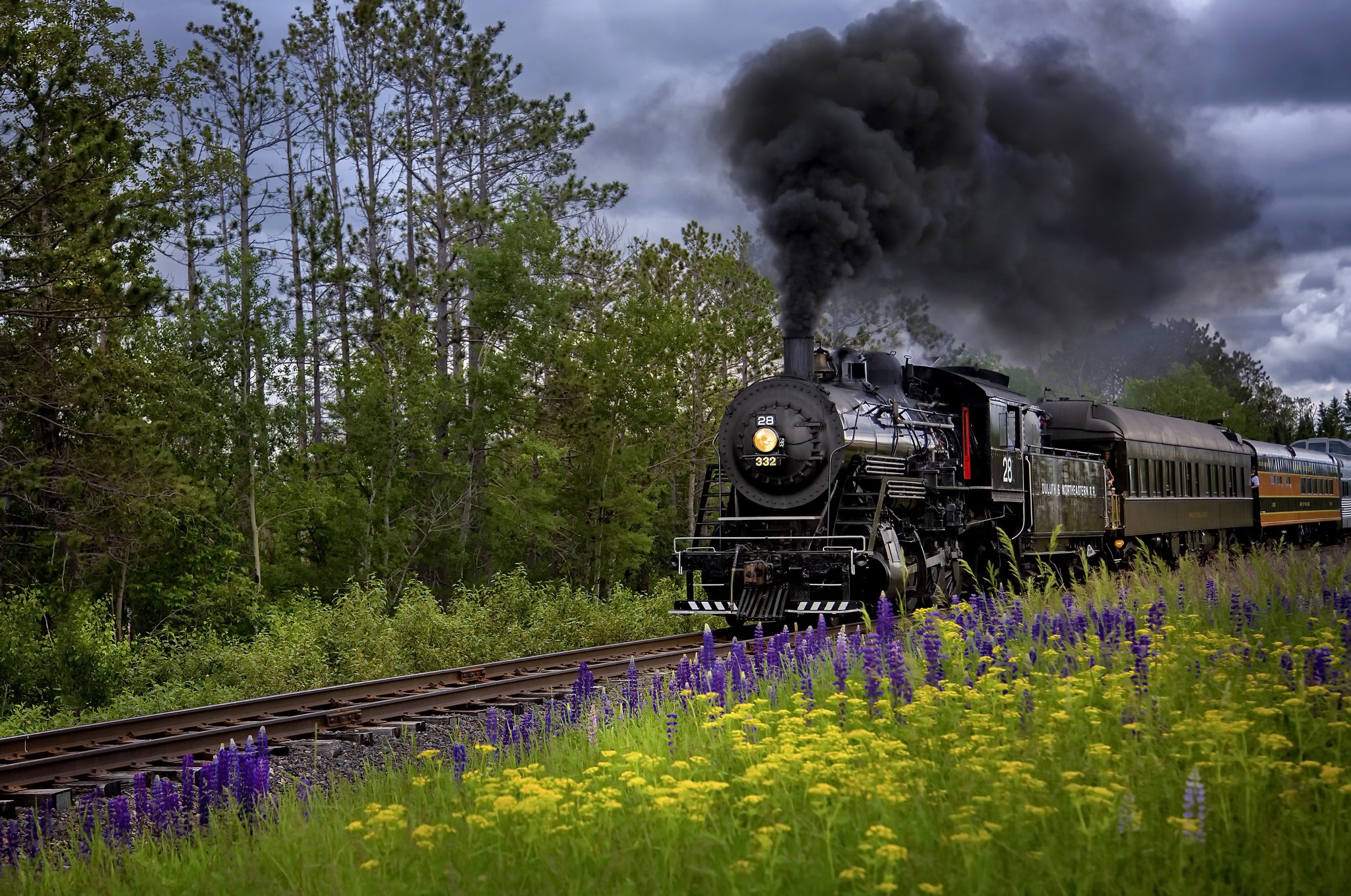 853731 Hintergrundbild herunterladen fahrzeuge, dampflokomotive, blume, lokomotive, rauch, zug - Bildschirmschoner und Bilder kostenlos