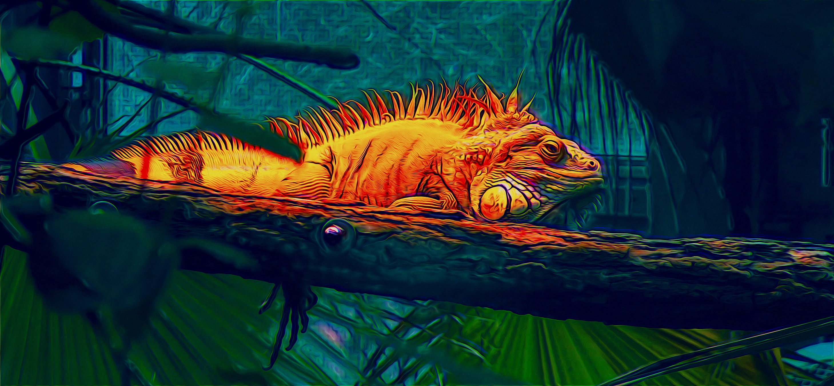 Descarga gratis la imagen Animales, Rama, Lagarto, Reptil, Reptiles, Iguana, Manipulación, Color Naranja) en el escritorio de tu PC