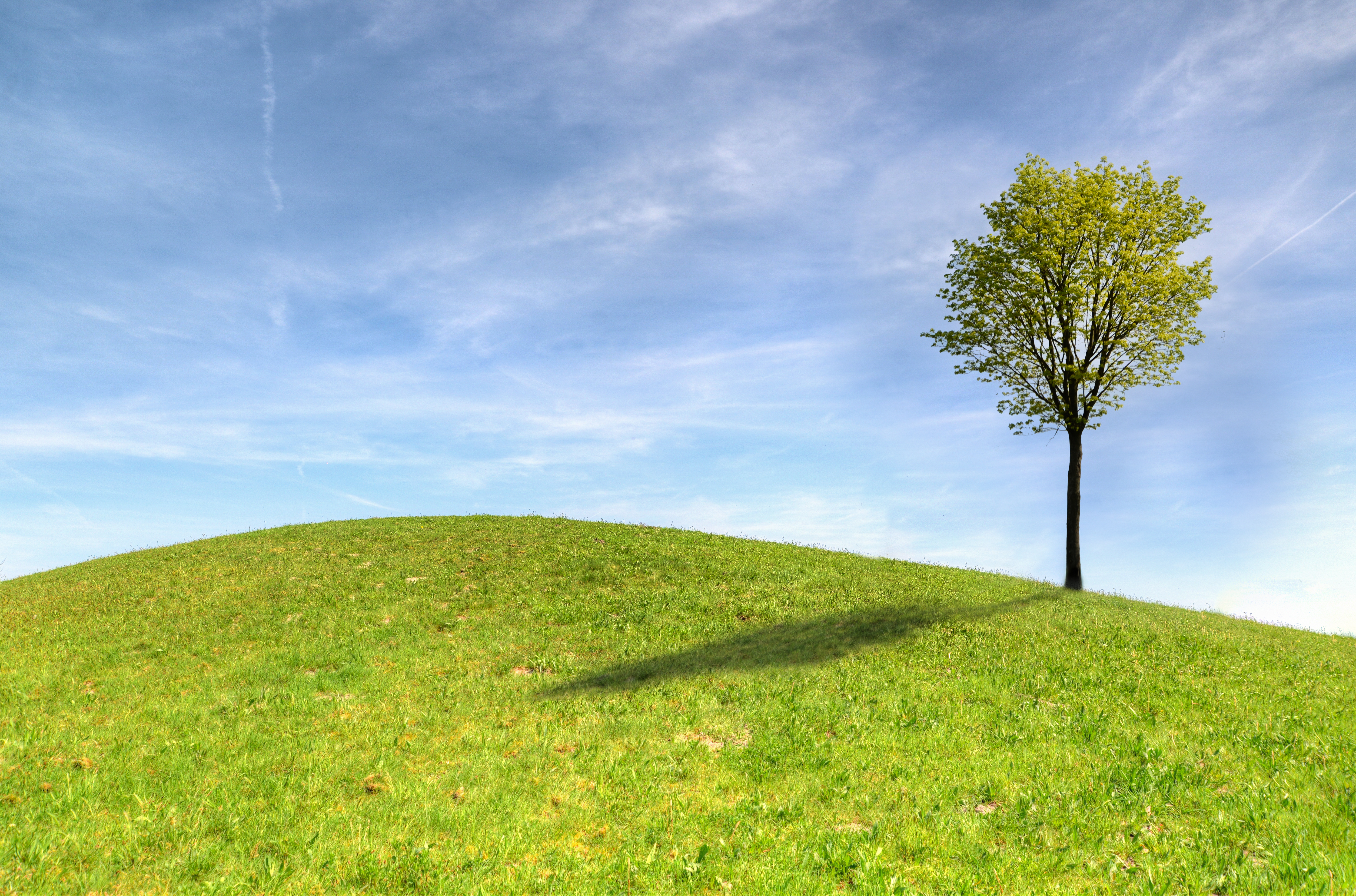 Free download wallpaper Sky, Horizon, Wood, Tree, Nature, Grass on your PC desktop