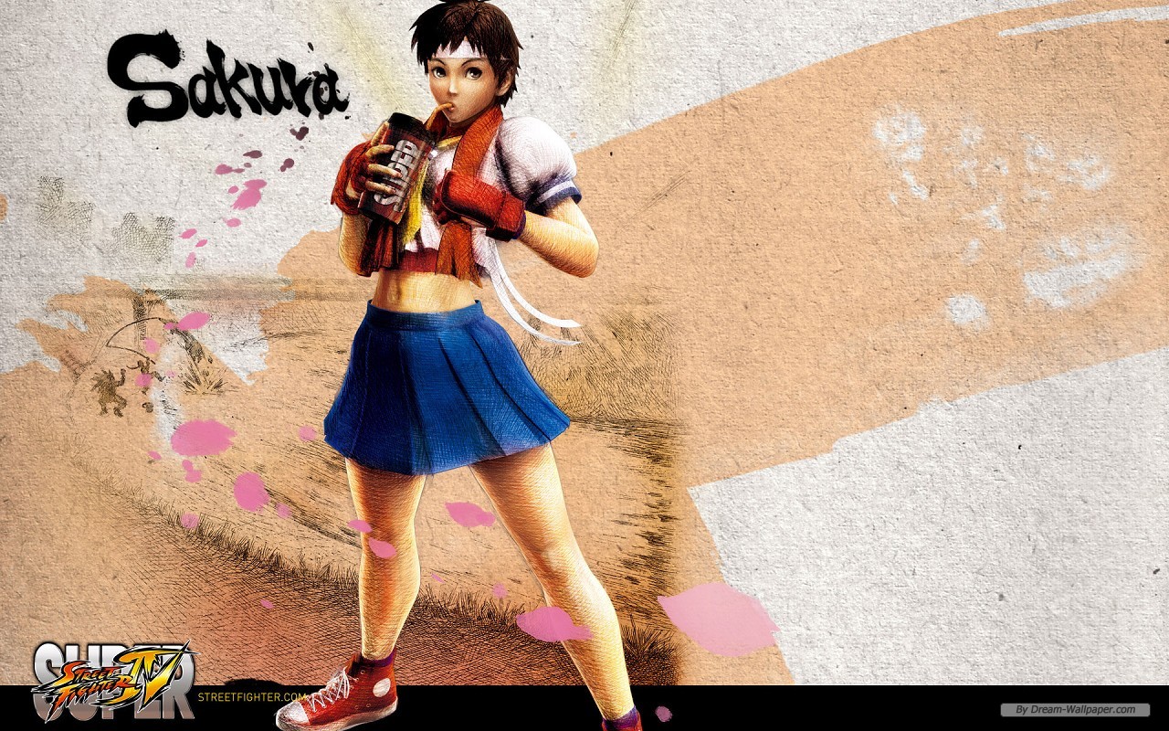 Panoramic Wallpapers Street Fighter 