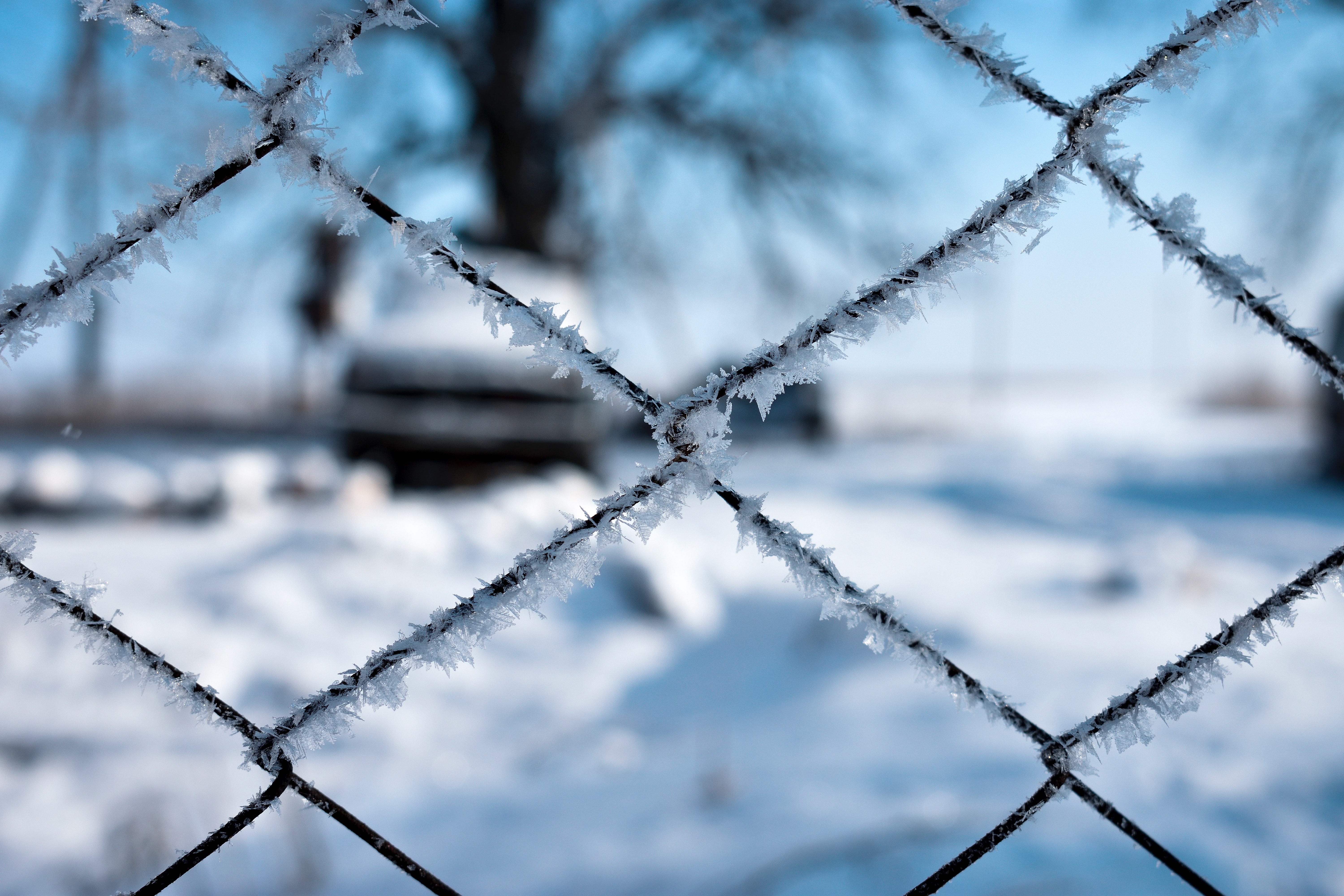 Download mobile wallpaper Fence, Frost, Hoarfrost, Macro, Grid for free.