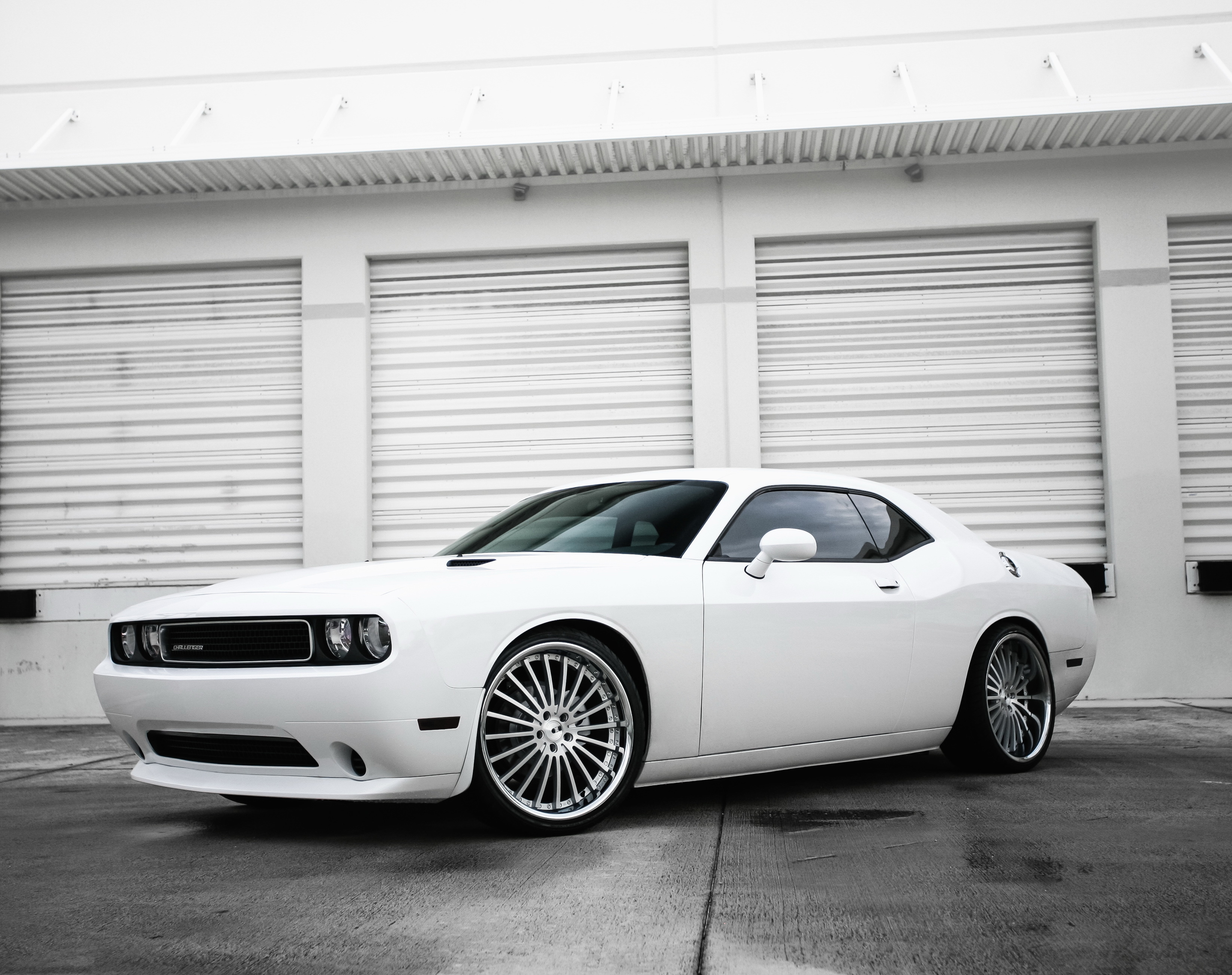 cars, white, side view, dodge, challenger