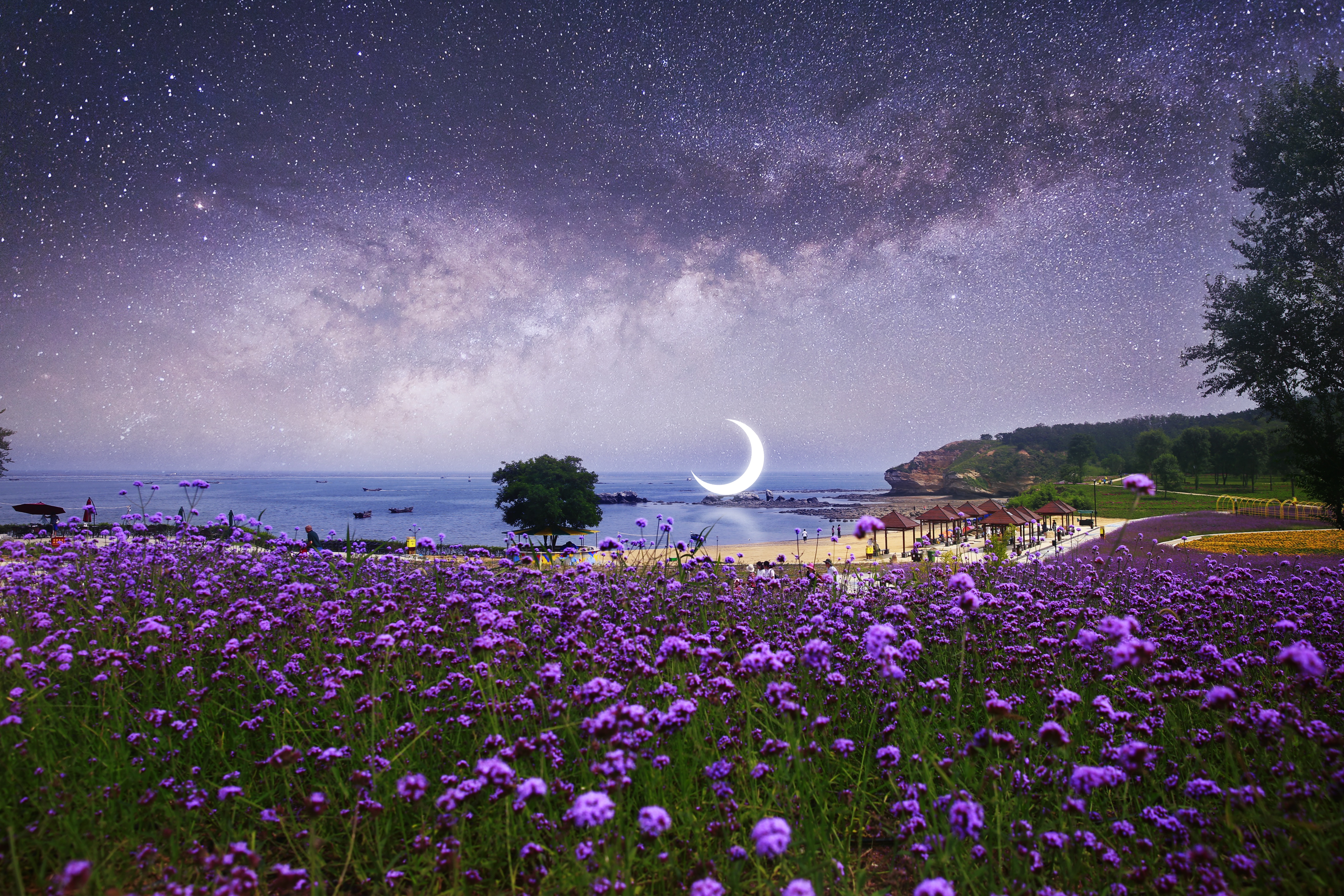 145400 скачать картинку луна, пляж, млечный путь, цветы, природа, звездное небо, фотошоп - обои и заставки бесплатно
