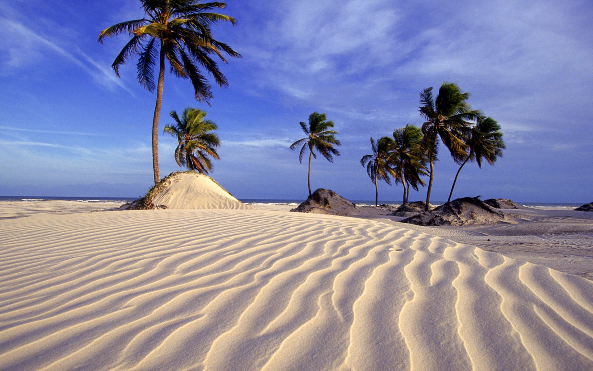 Free download wallpaper Landscape, Palms, Beach on your PC desktop
