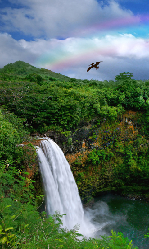 Handy-Wallpaper Wasserfälle, Regenbogen, Wasserfall, Erde, Hawaii, Erde/natur kostenlos herunterladen.
