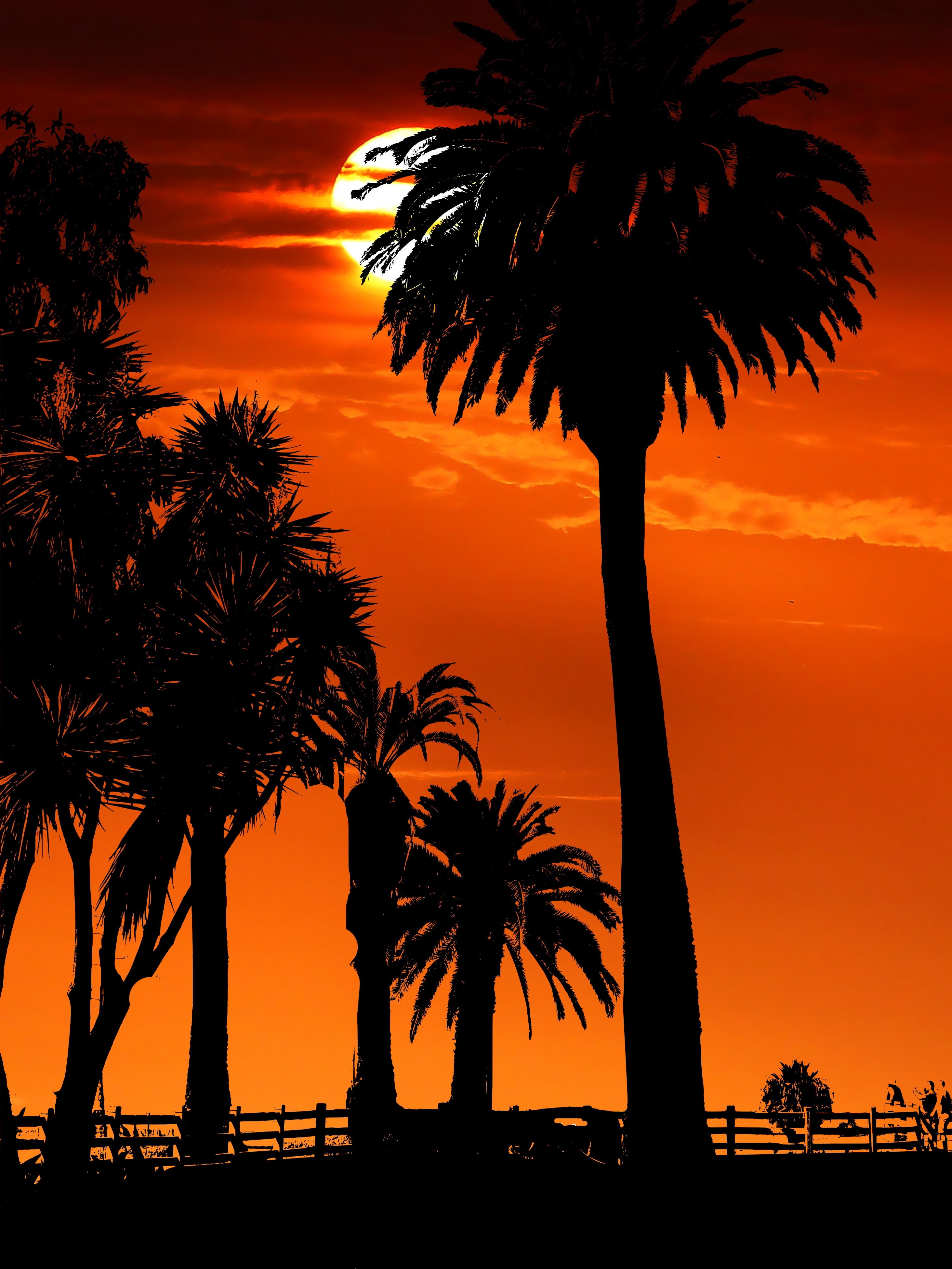 Handy-Wallpaper Sun, Silhouetten, Palms, Sunset, Übernachtung, Dunkel kostenlos herunterladen.