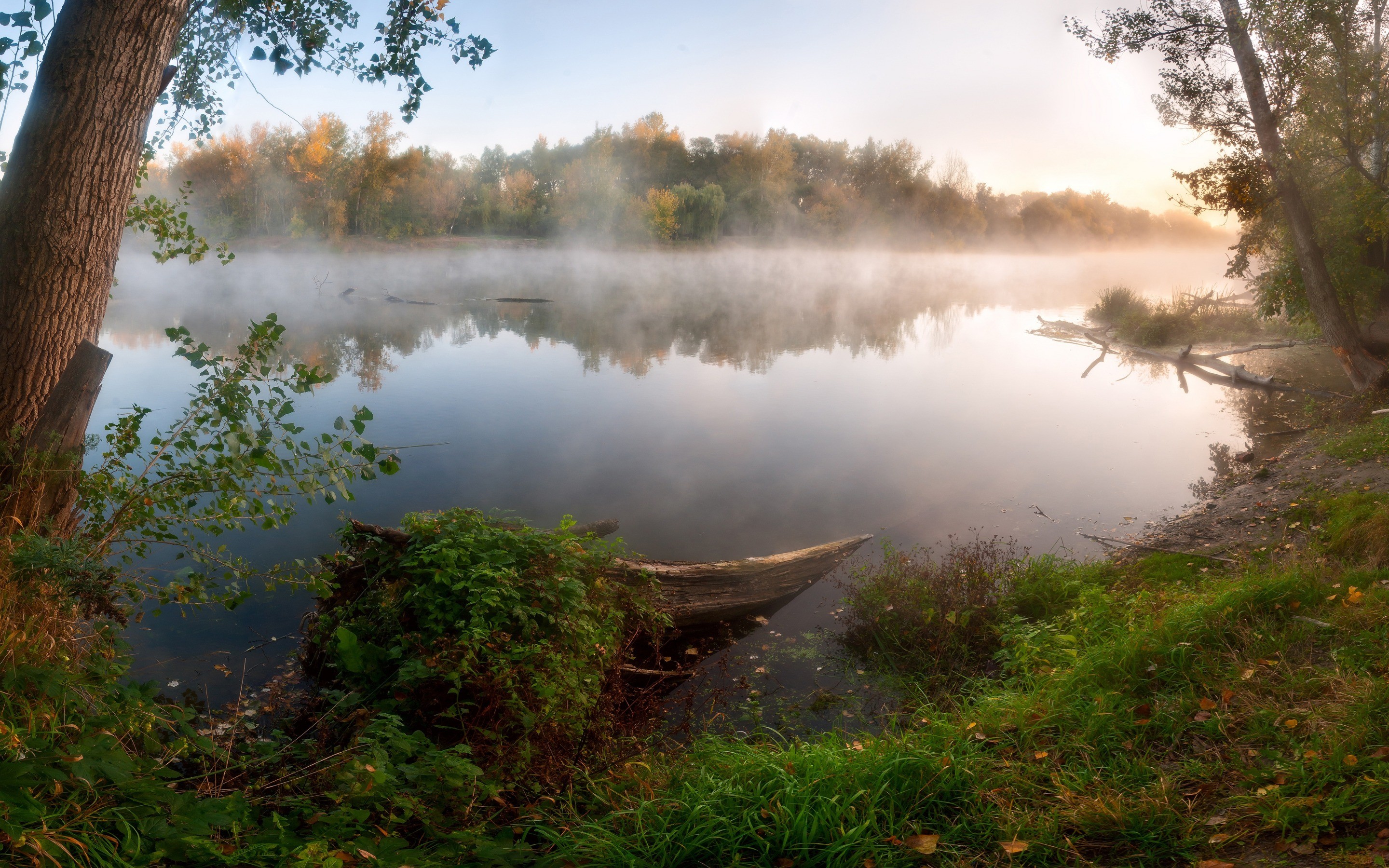 PCデスクトップに自然, 湖, 反射, 森, 霧, 地球画像を無料でダウンロード