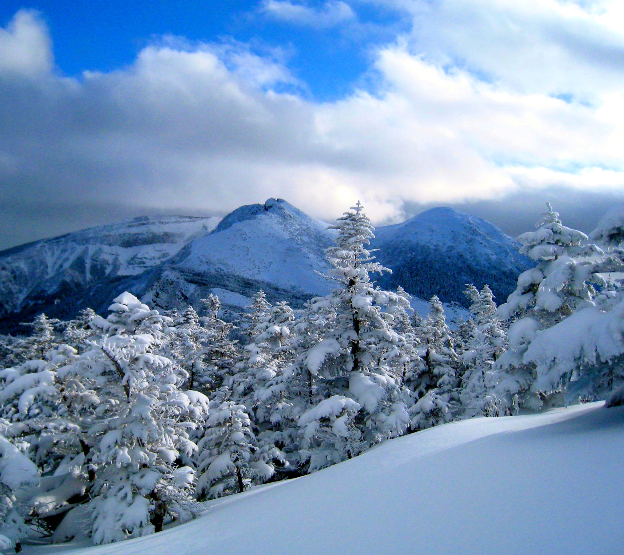 PCデスクトップに冬, 木, 雪, 山, 森, 地球画像を無料でダウンロード