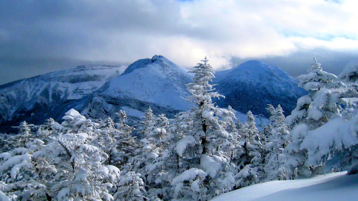 Desktop wallpaper: Earth, Winter, Snow, Tree, Forest, Mountain 4K free ...
