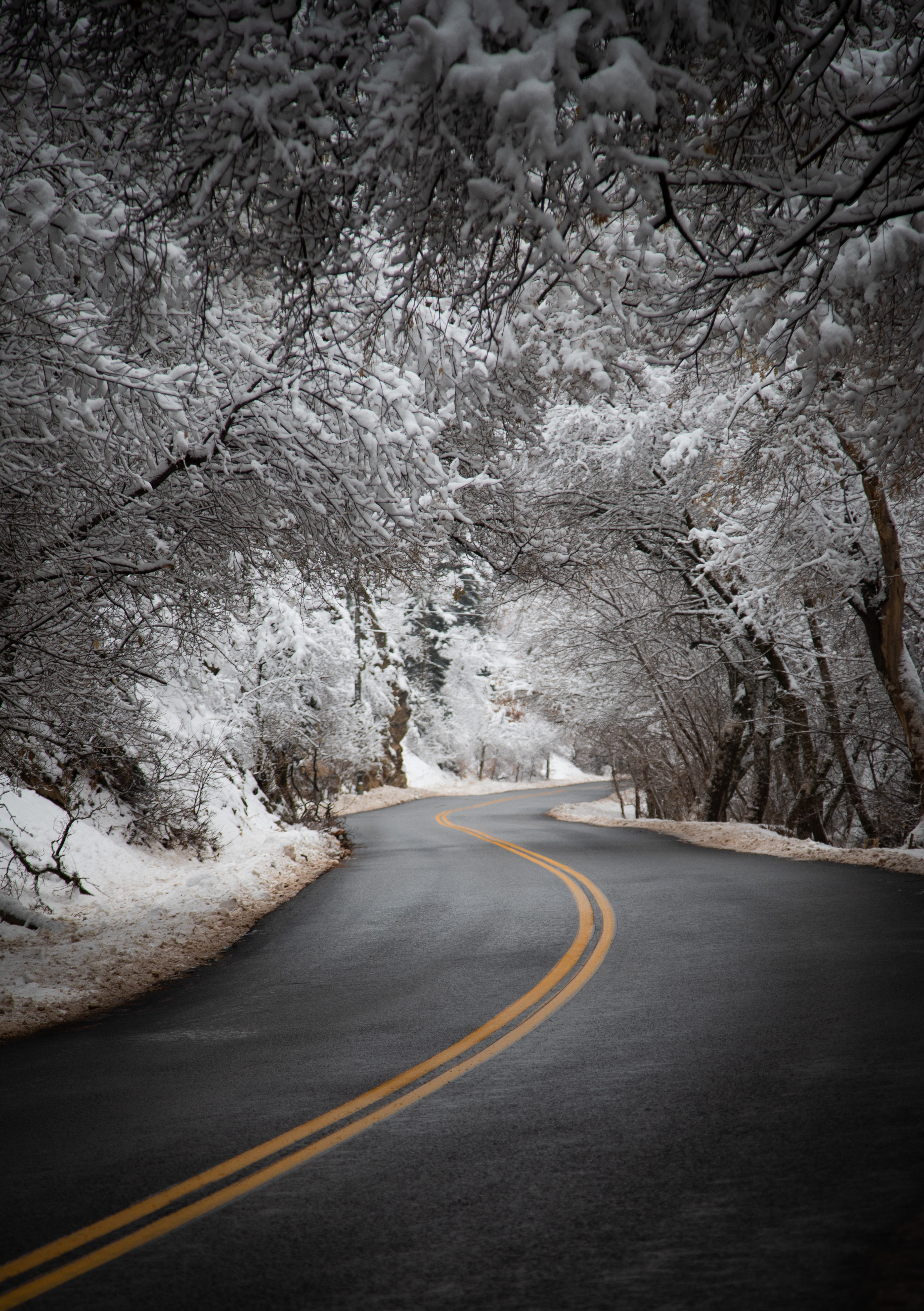Download mobile wallpaper Snow, Road, Turn, Asphalt, Nature, Trees, Winter for free.