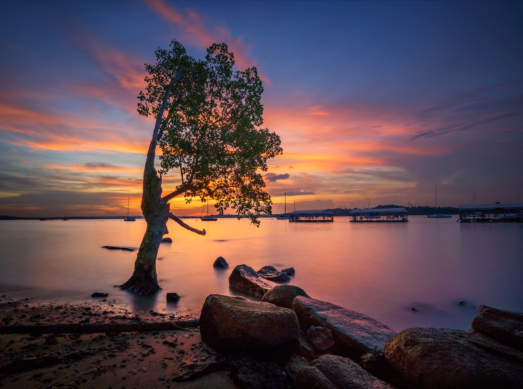 Download mobile wallpaper Sunset, Lakes, Lake, Tree, Cloud, Photography for free.