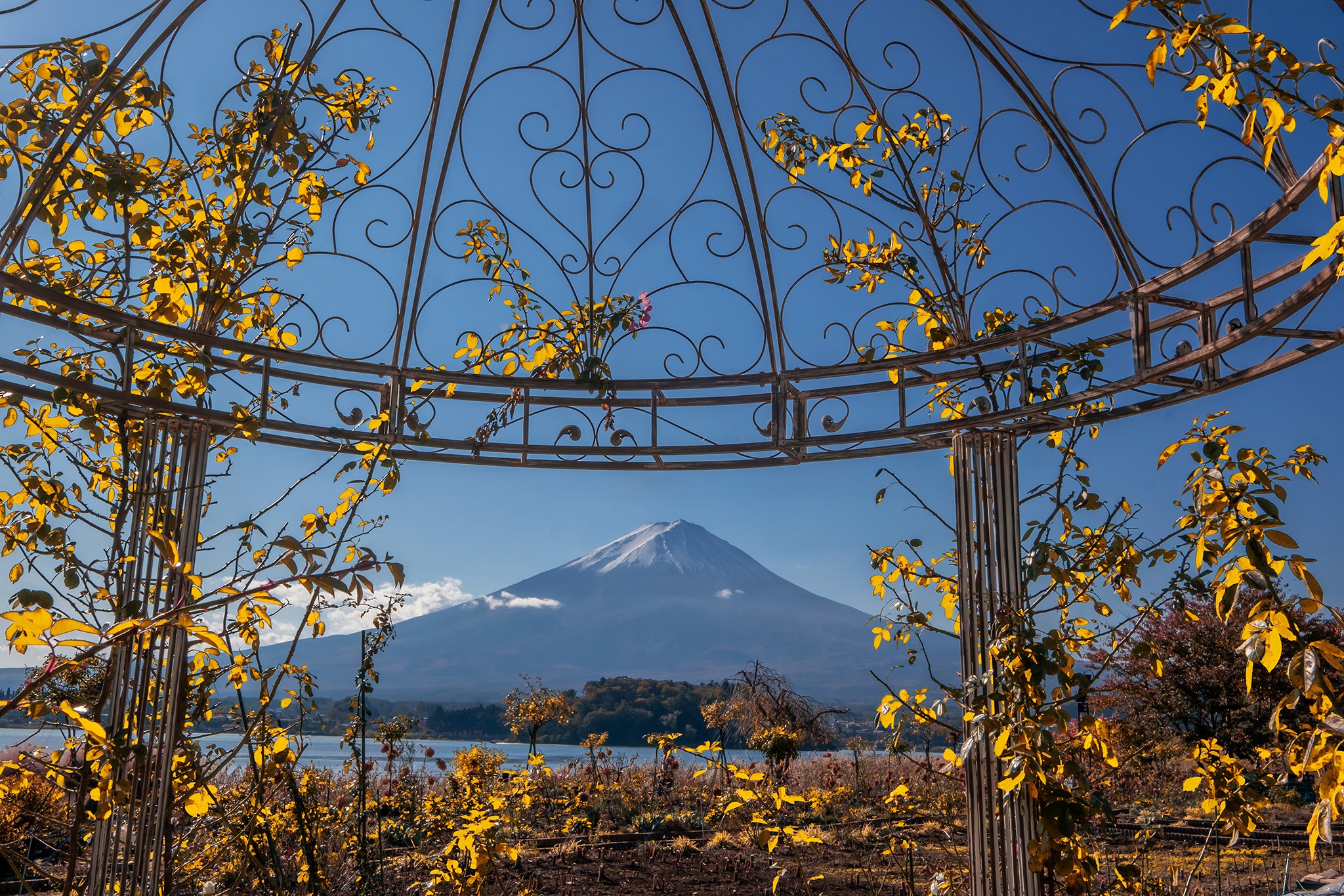 484868 Bild herunterladen erde/natur, fujisan, fujiyama, vulkane - Hintergrundbilder und Bildschirmschoner kostenlos