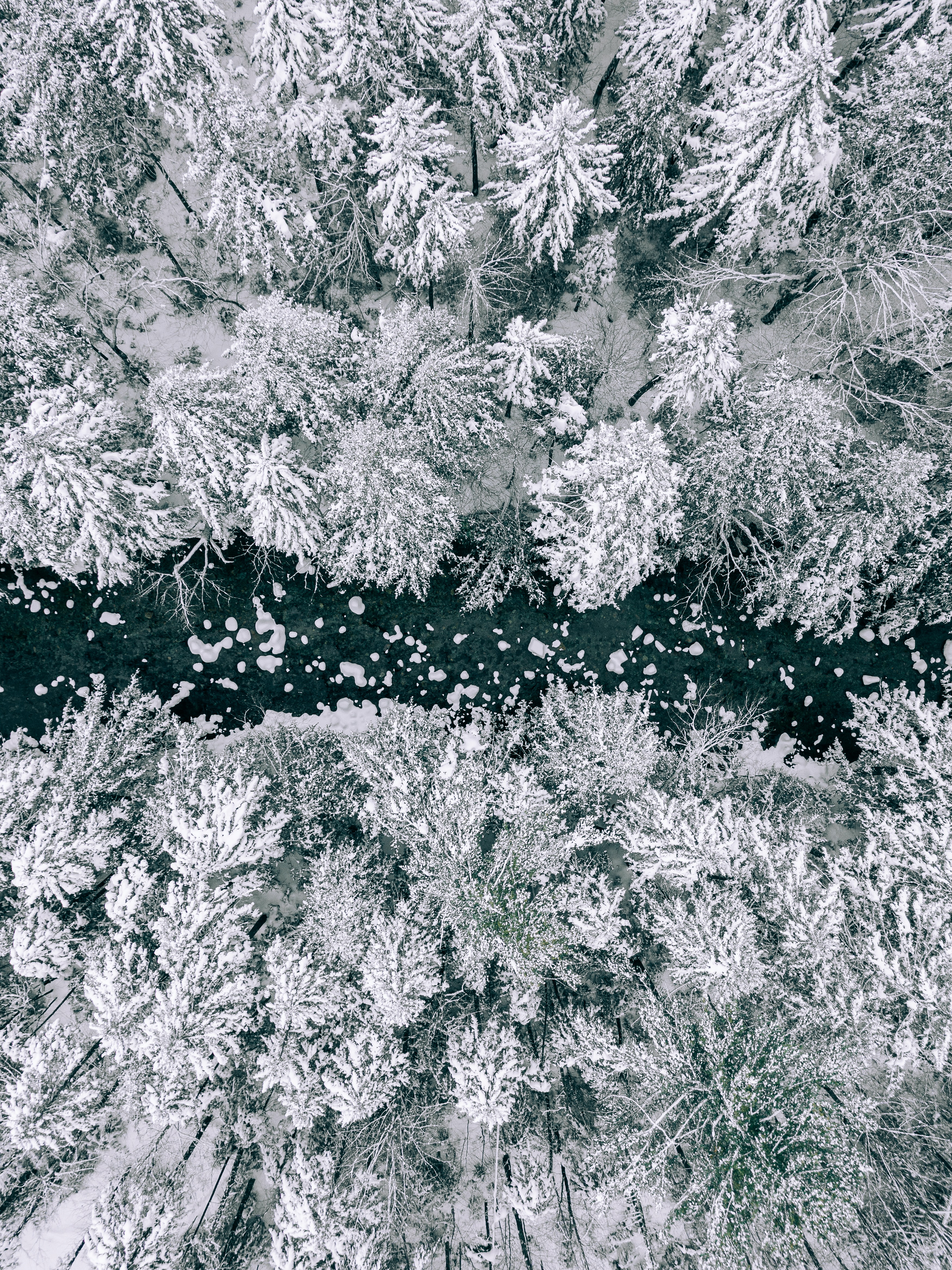 Скачать картинку Вид Сверху, Снег, Река, Лес, Природа, Зима в телефон бесплатно.